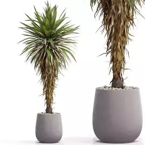 Plants collection 687 3D model