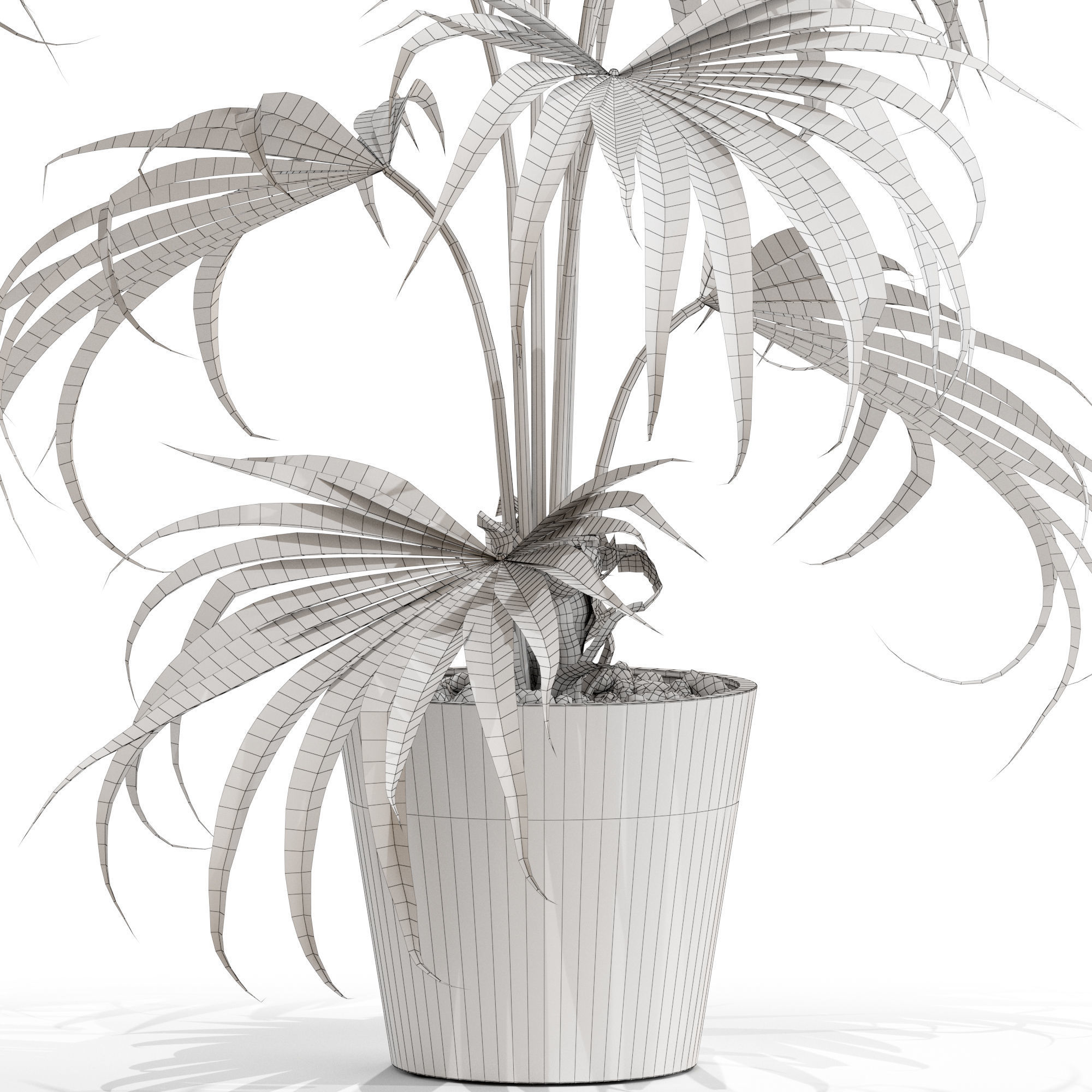 Plants collection 705 3D model_4