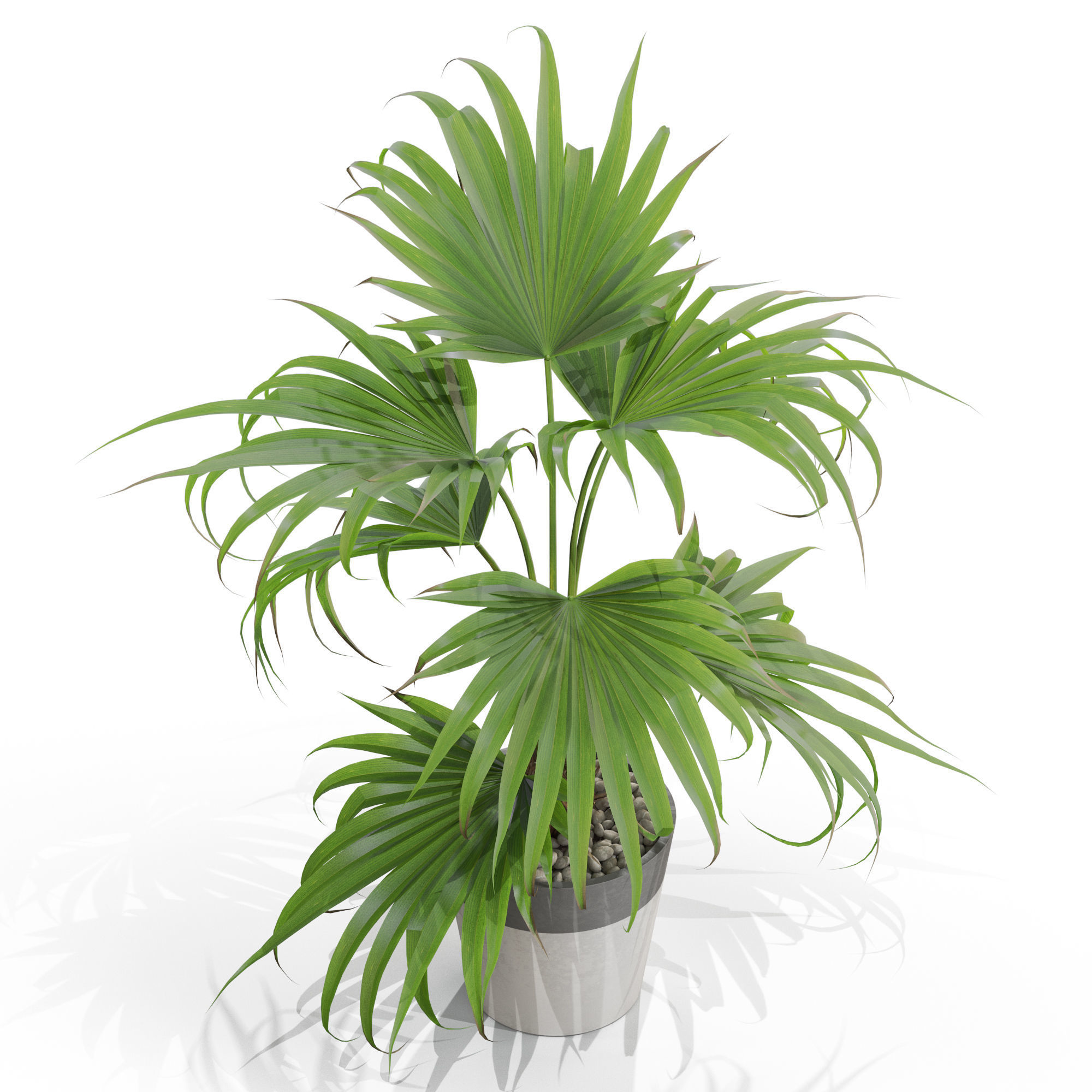 Plants collection 705 3D model_2