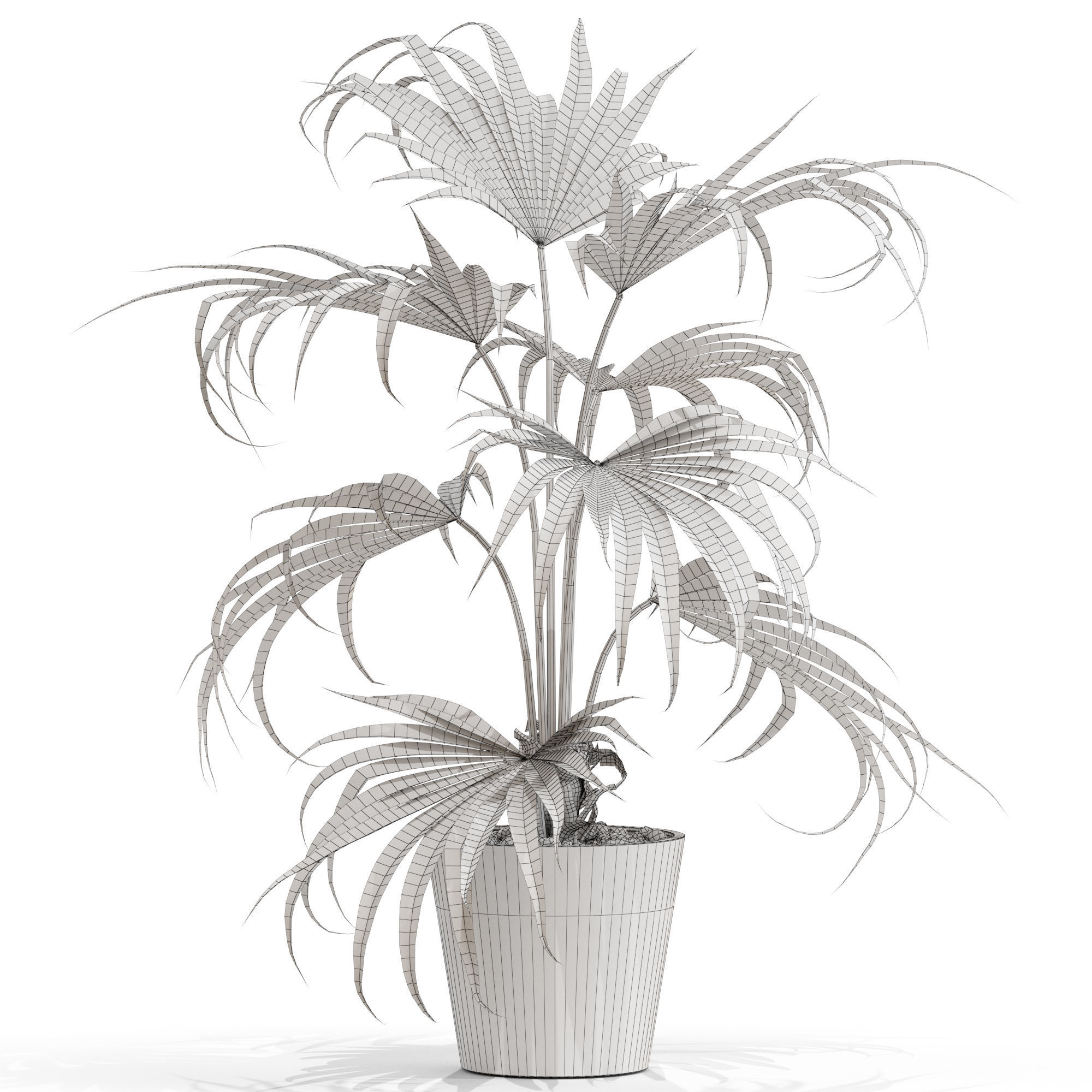 Plants collection 705 3D model_3