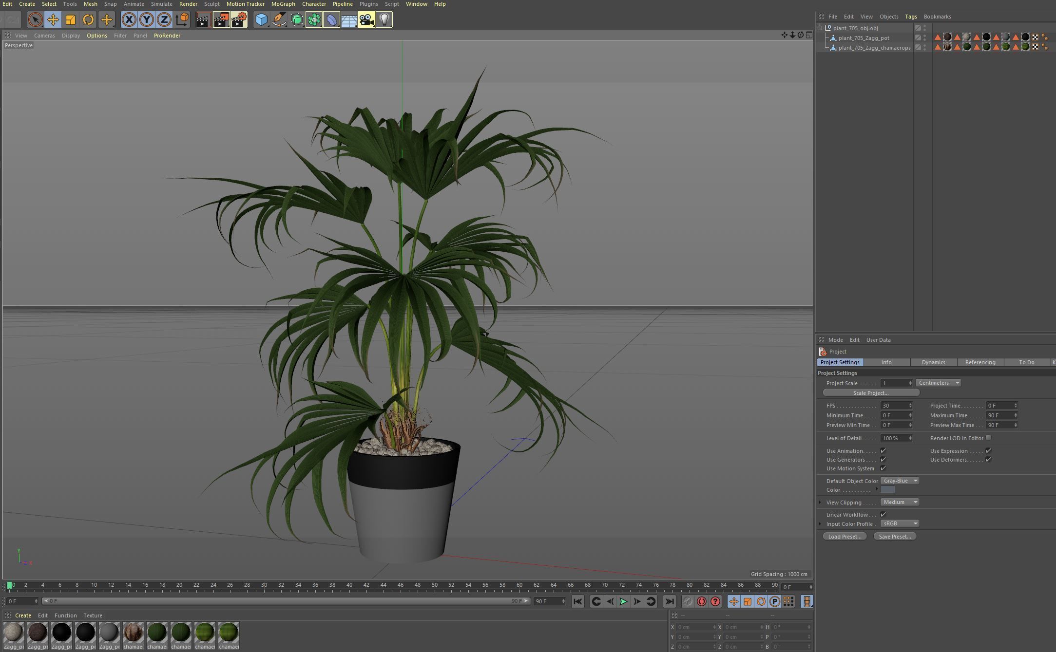 Plants collection 705 3D model_6