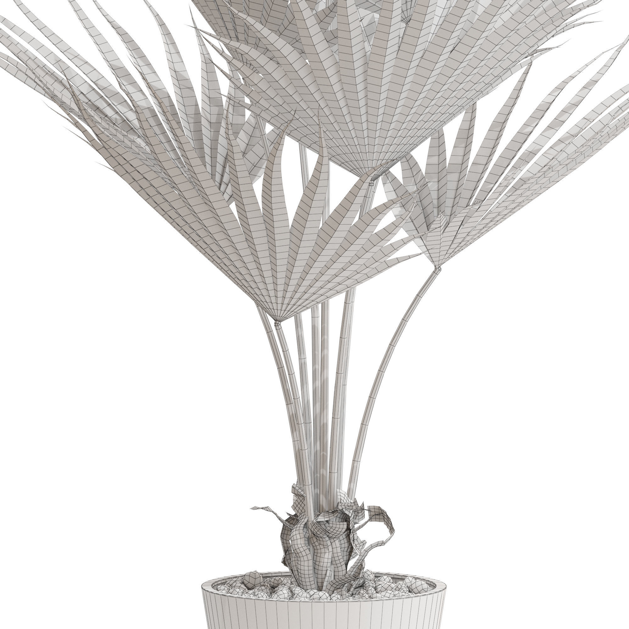 Plants collection 706 3D model_4