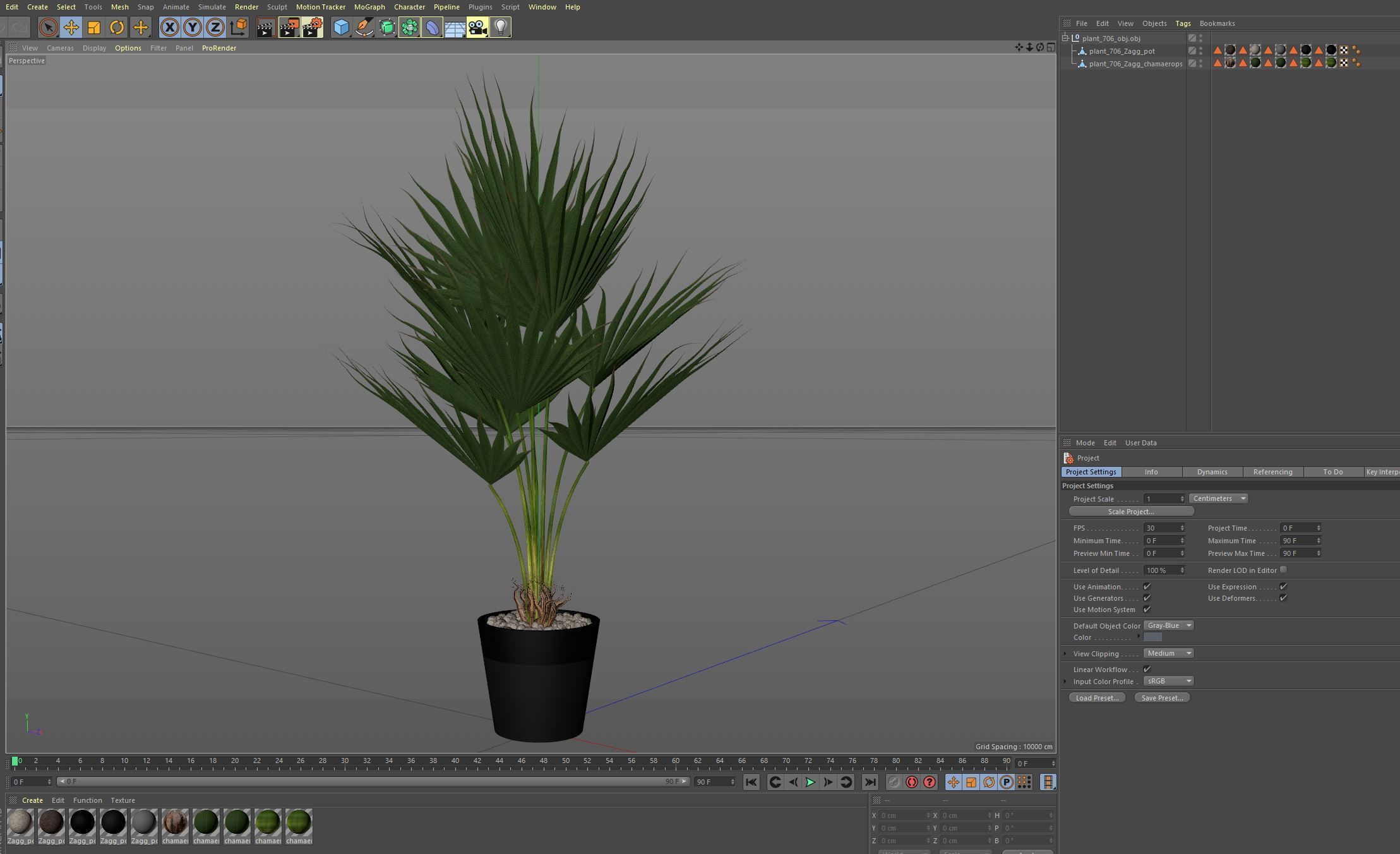 Plants collection 706 3D model_6