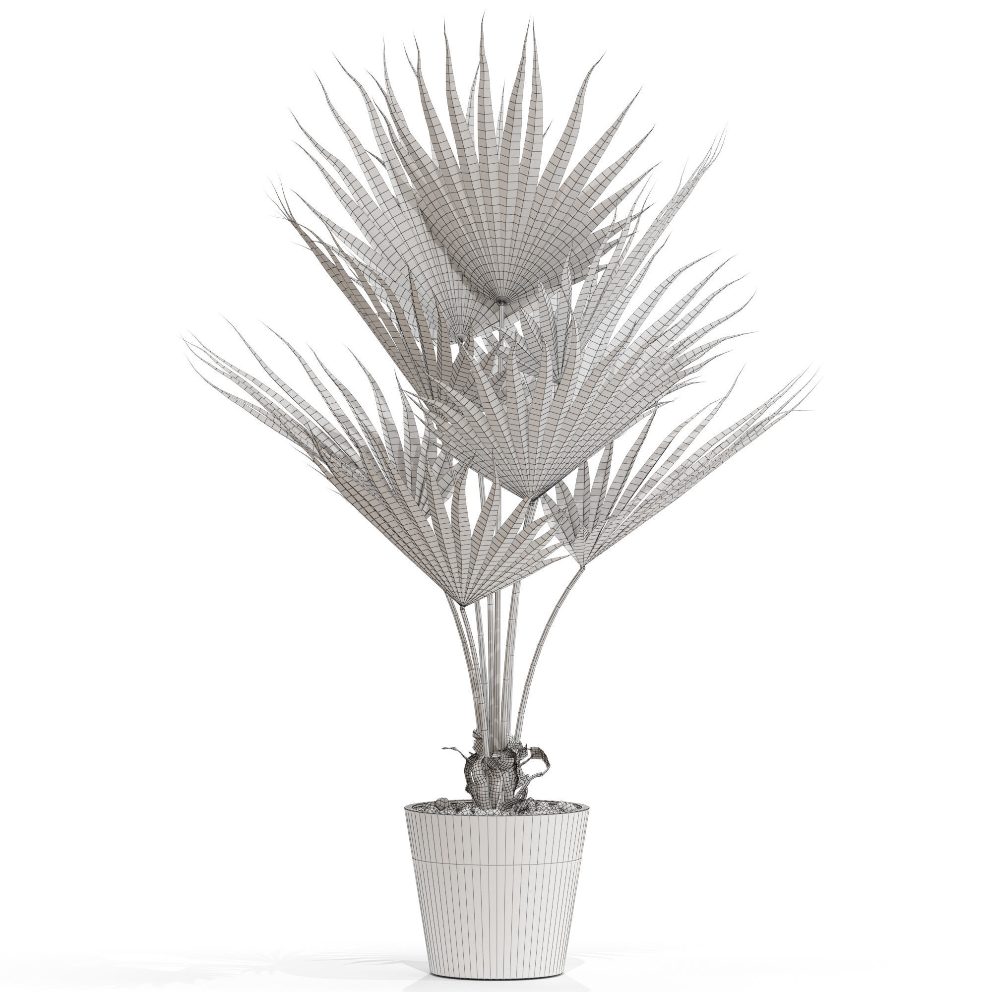 Plants collection 706 3D model_3