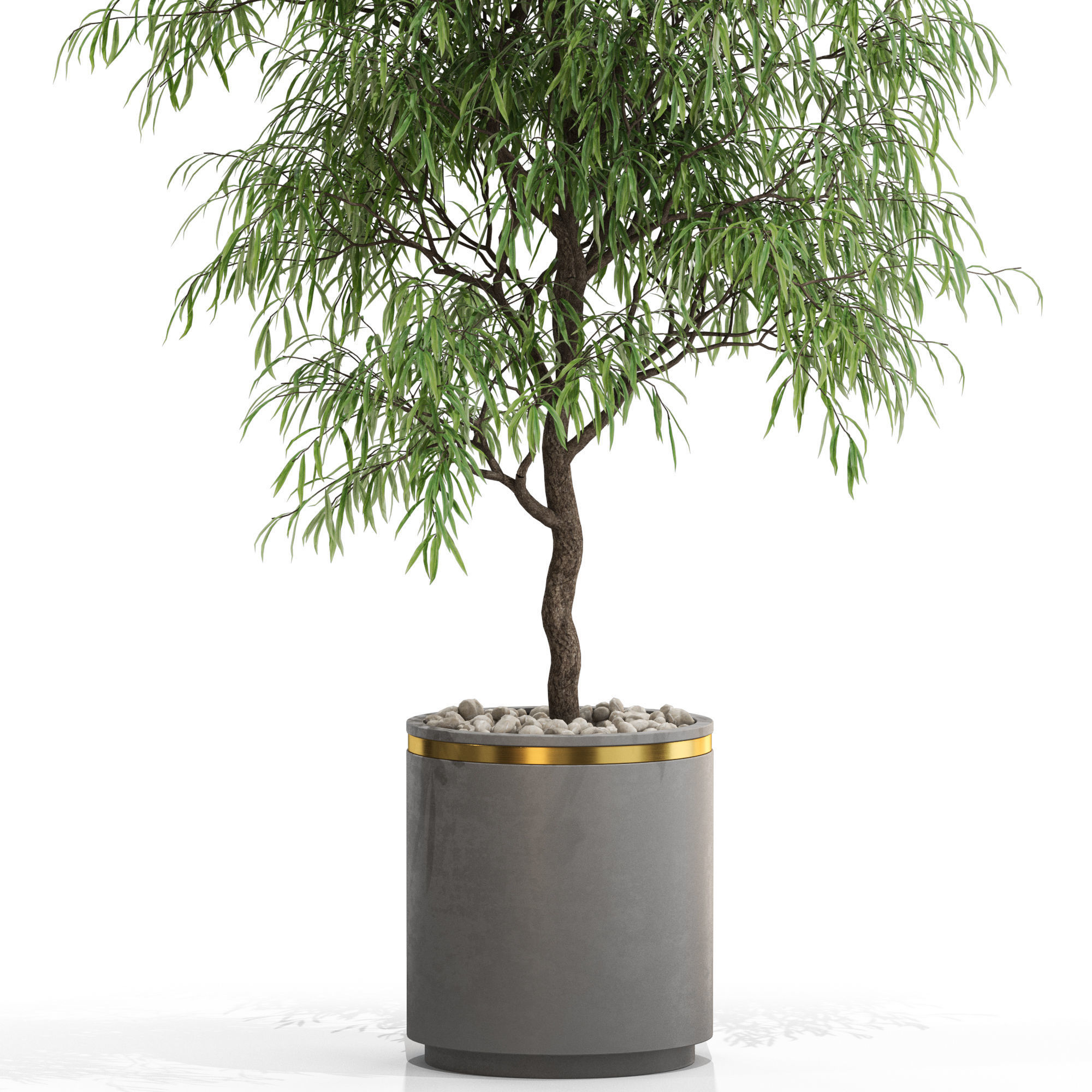 Plants collection 708 3D model_1