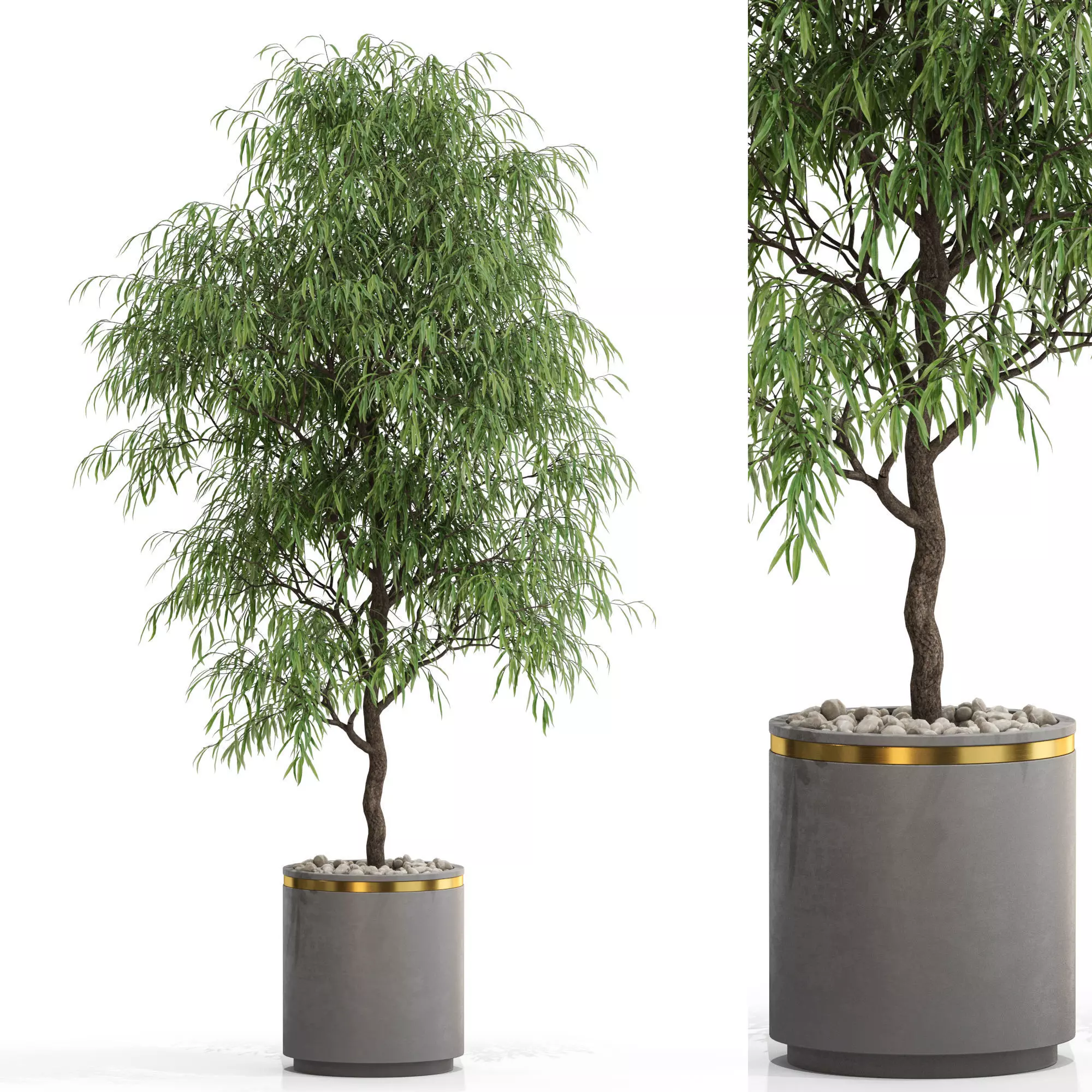 Plants collection 708 3D model_0