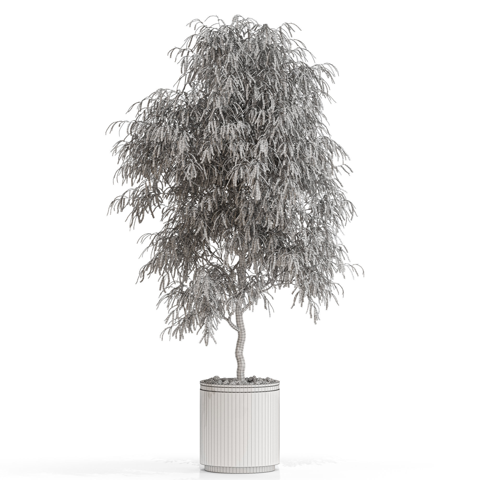 Plants collection 708 3D model_3