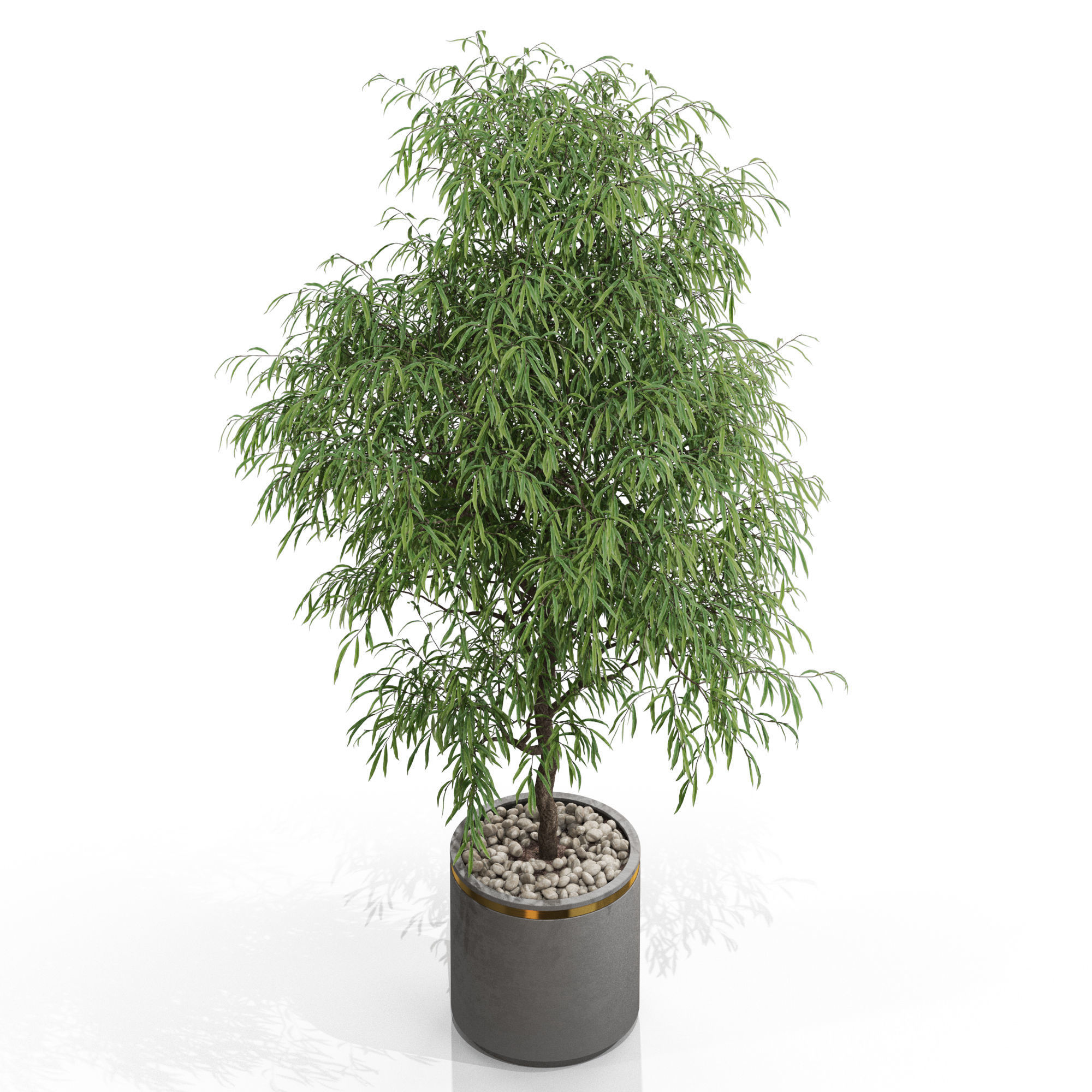 Plants collection 708 3D model_2