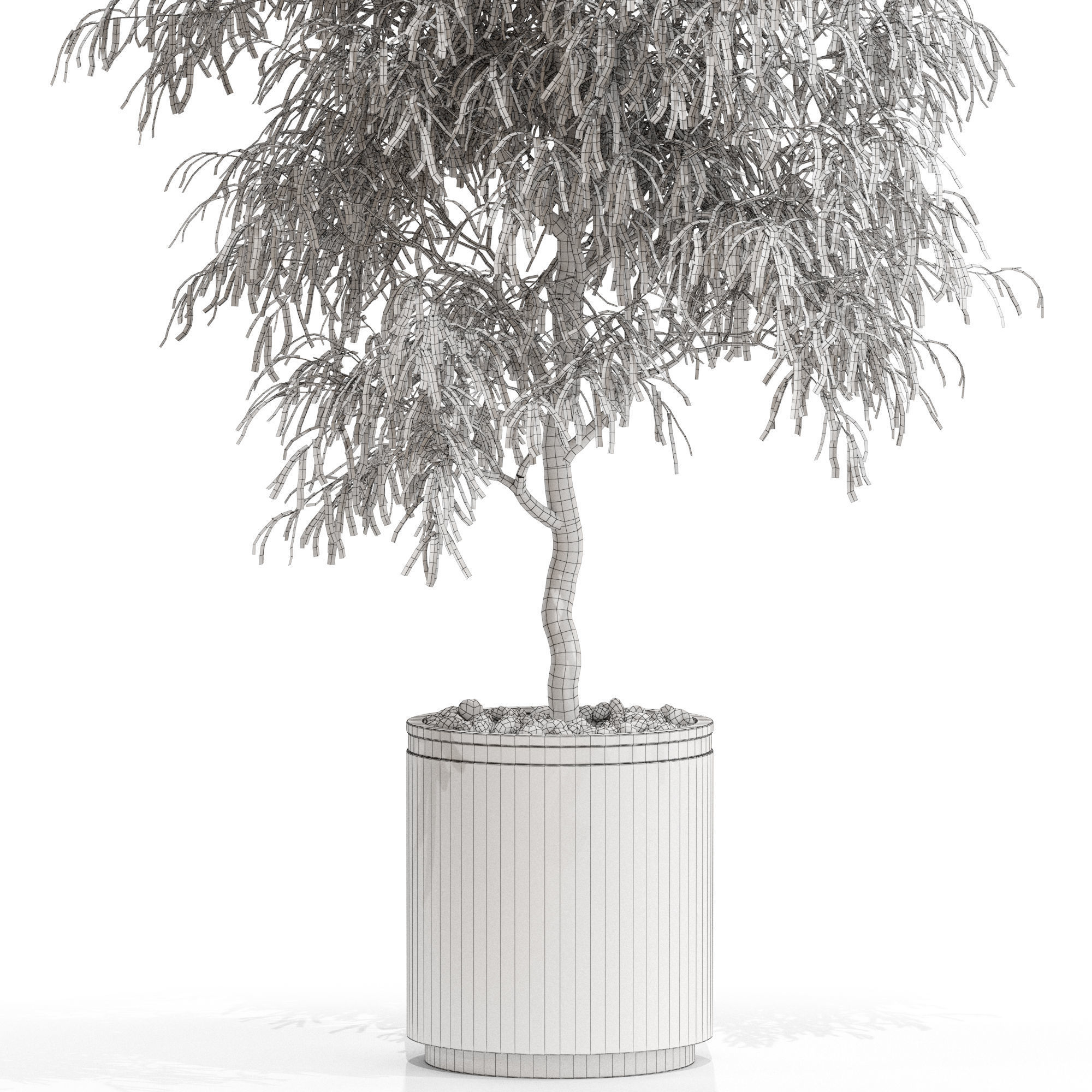 Plants collection 708 3D model_4