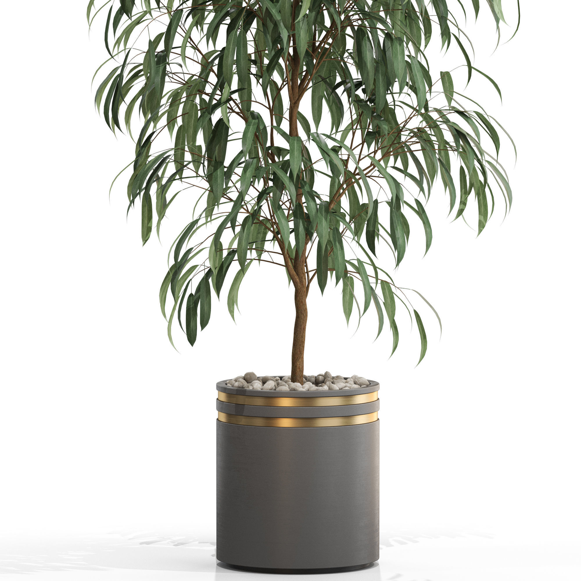 Plants collection 709 3D model_1