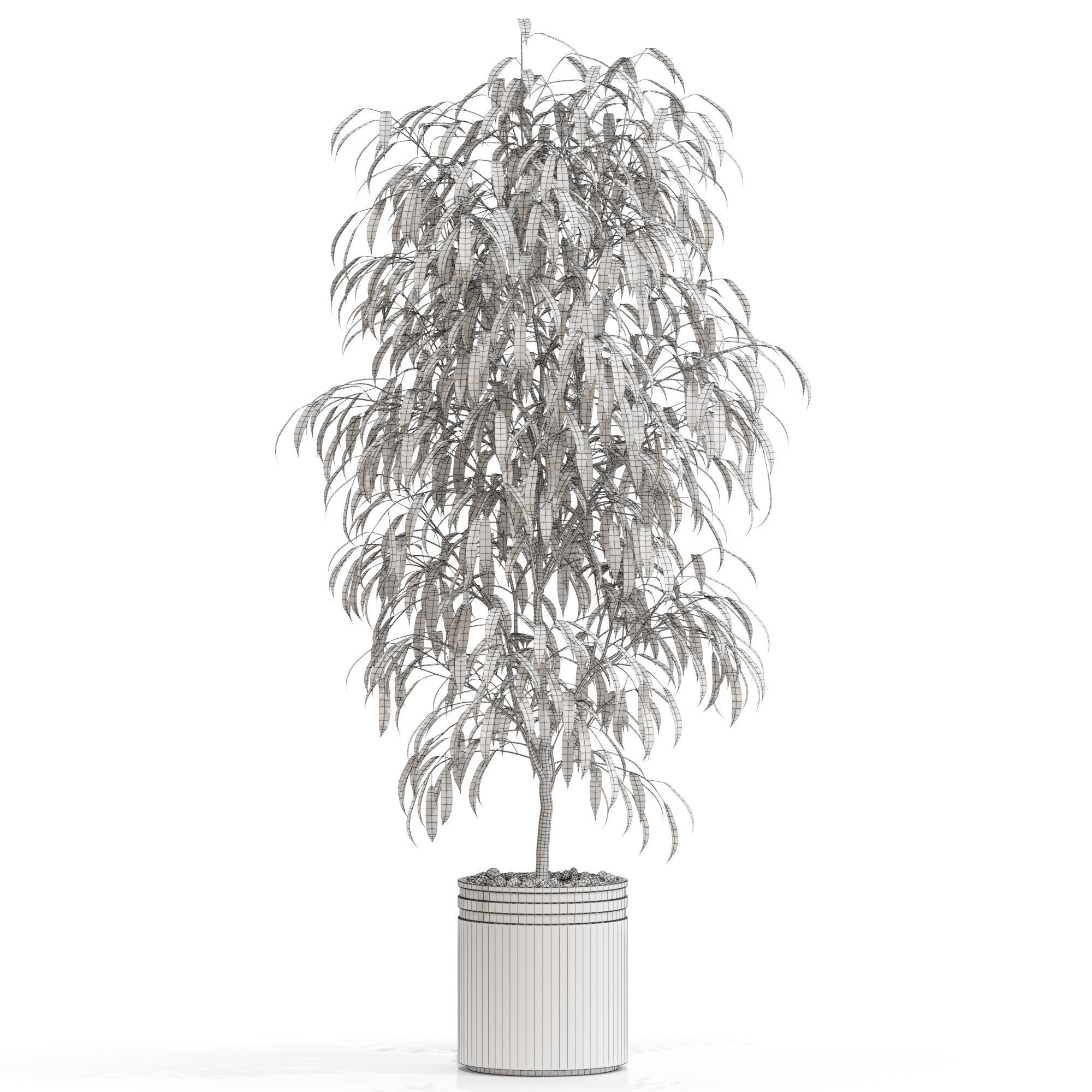 Plants collection 709 3D model_3