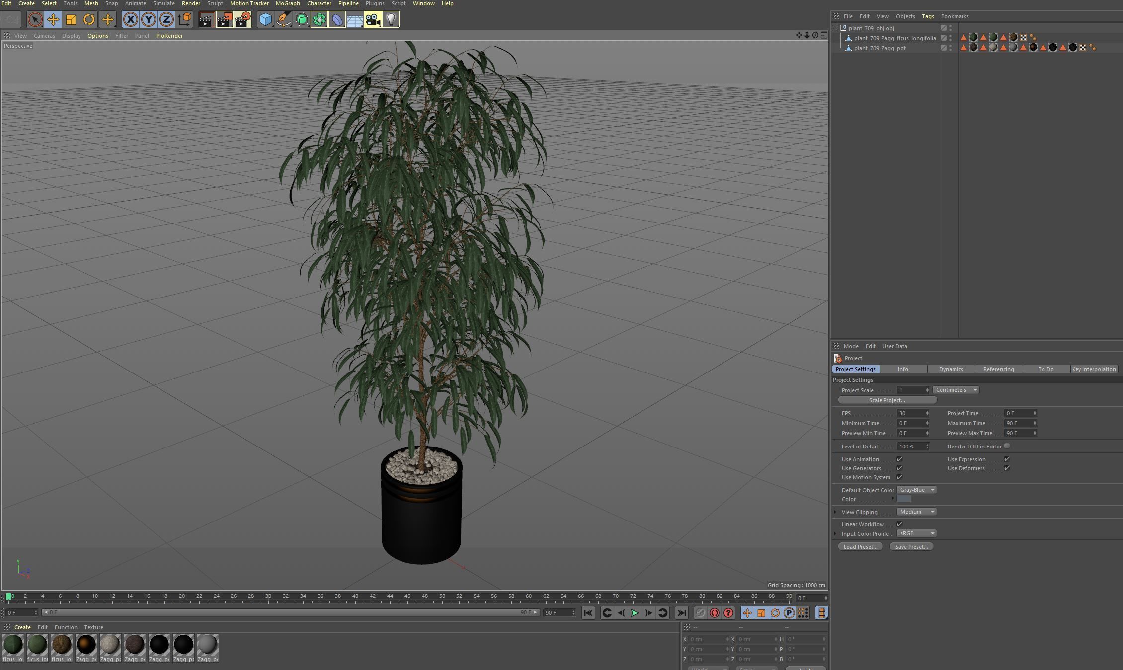 Plants collection 709 3D model_6
