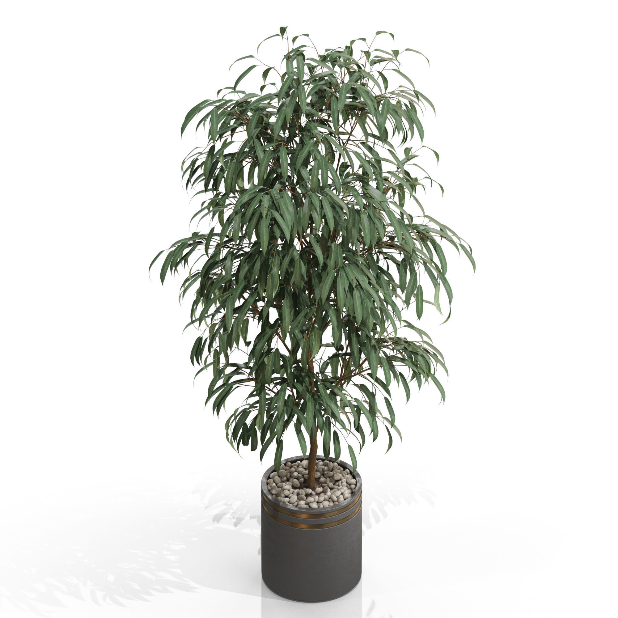 Plants collection 709 3D model_2