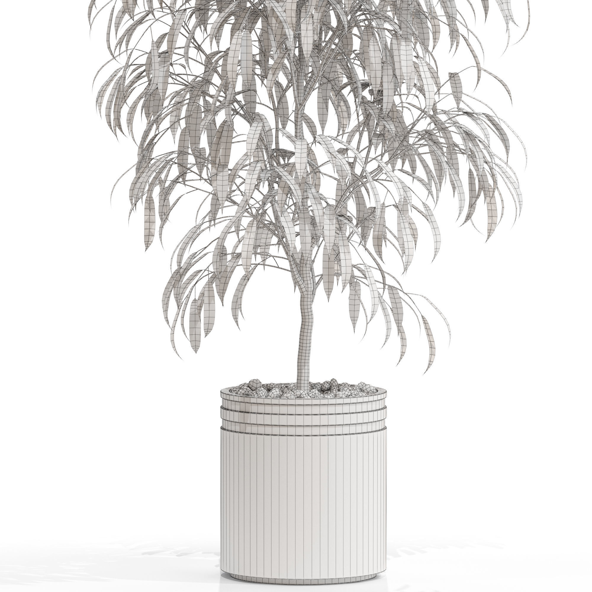 Plants collection 709 3D model_4