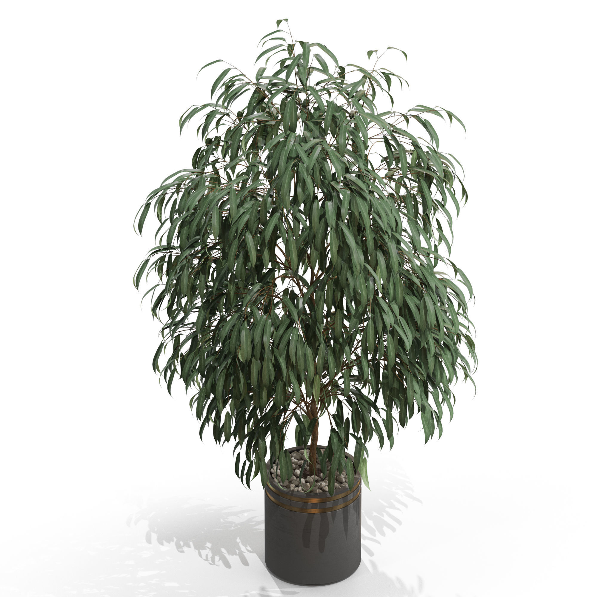 Plants collection 710 3D model_2