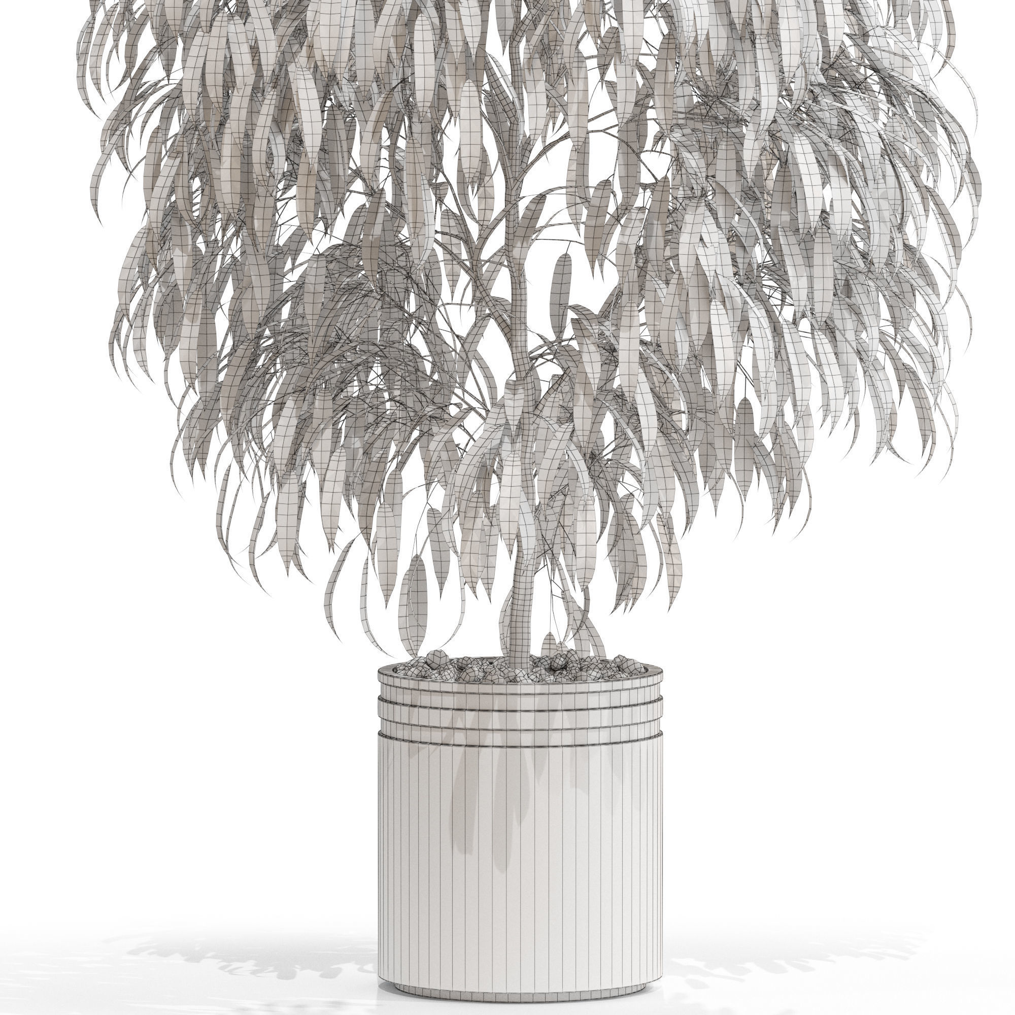 Plants collection 710 3D model_4