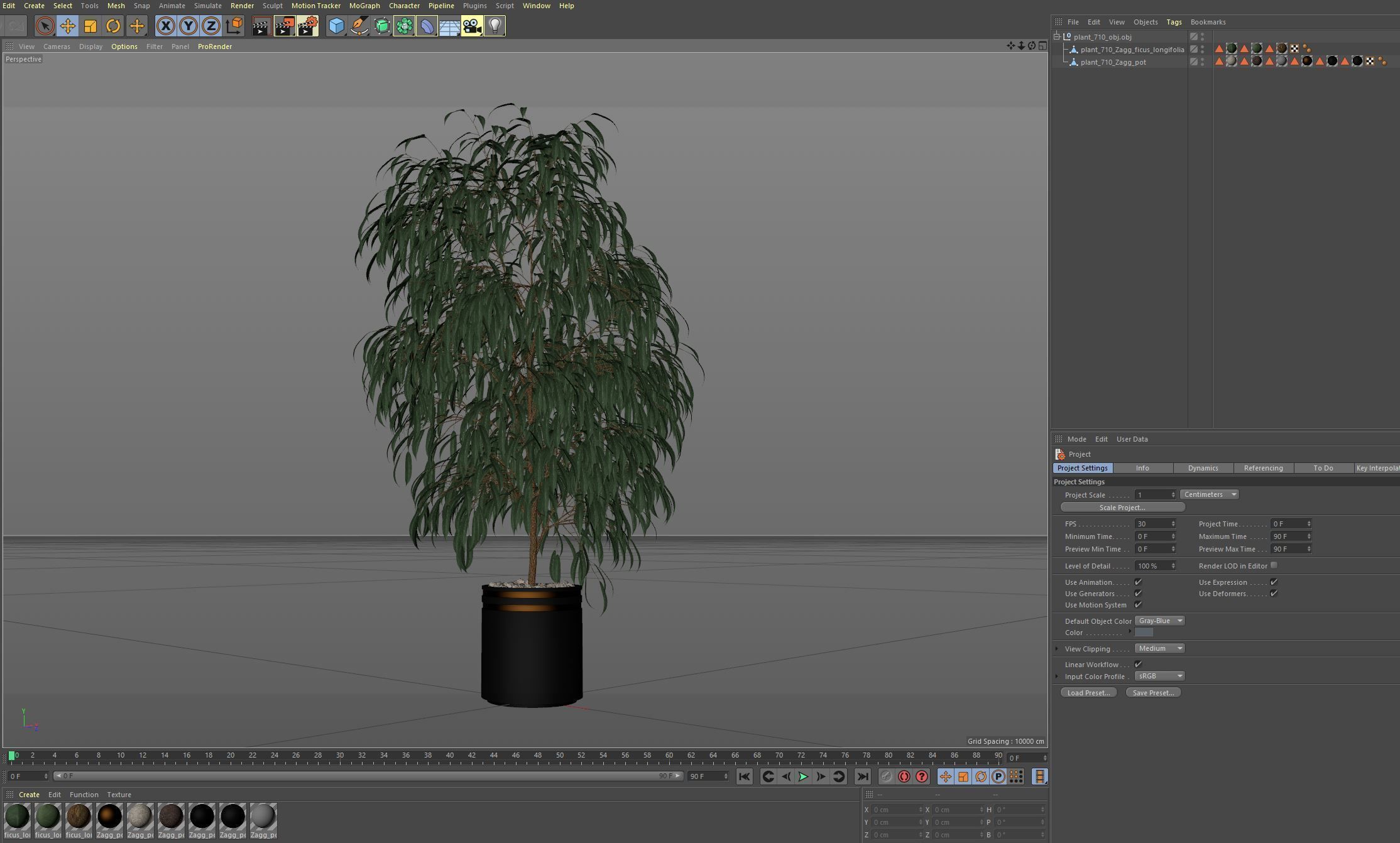 Plants collection 710 3D model_6