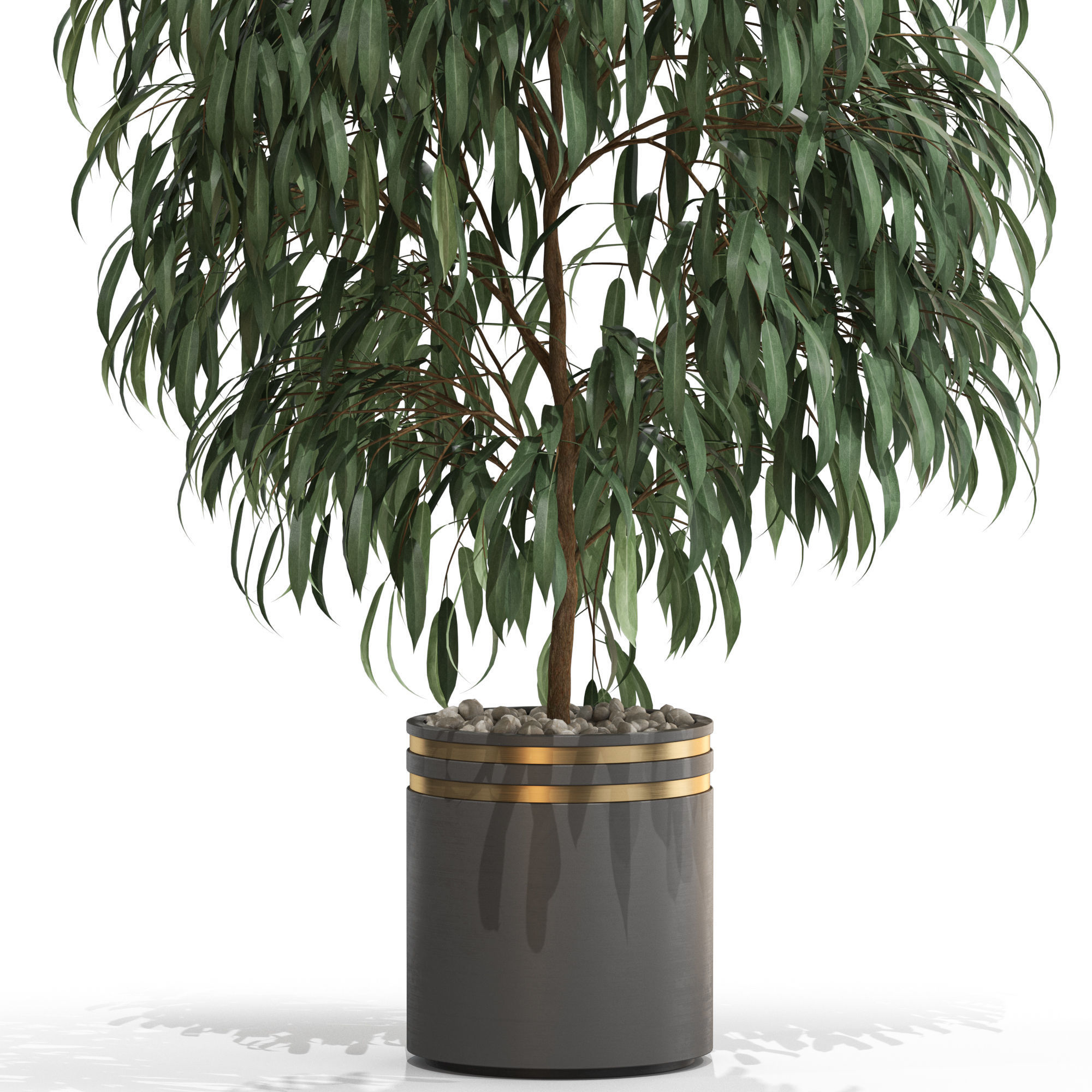 Plants collection 710 3D model_1