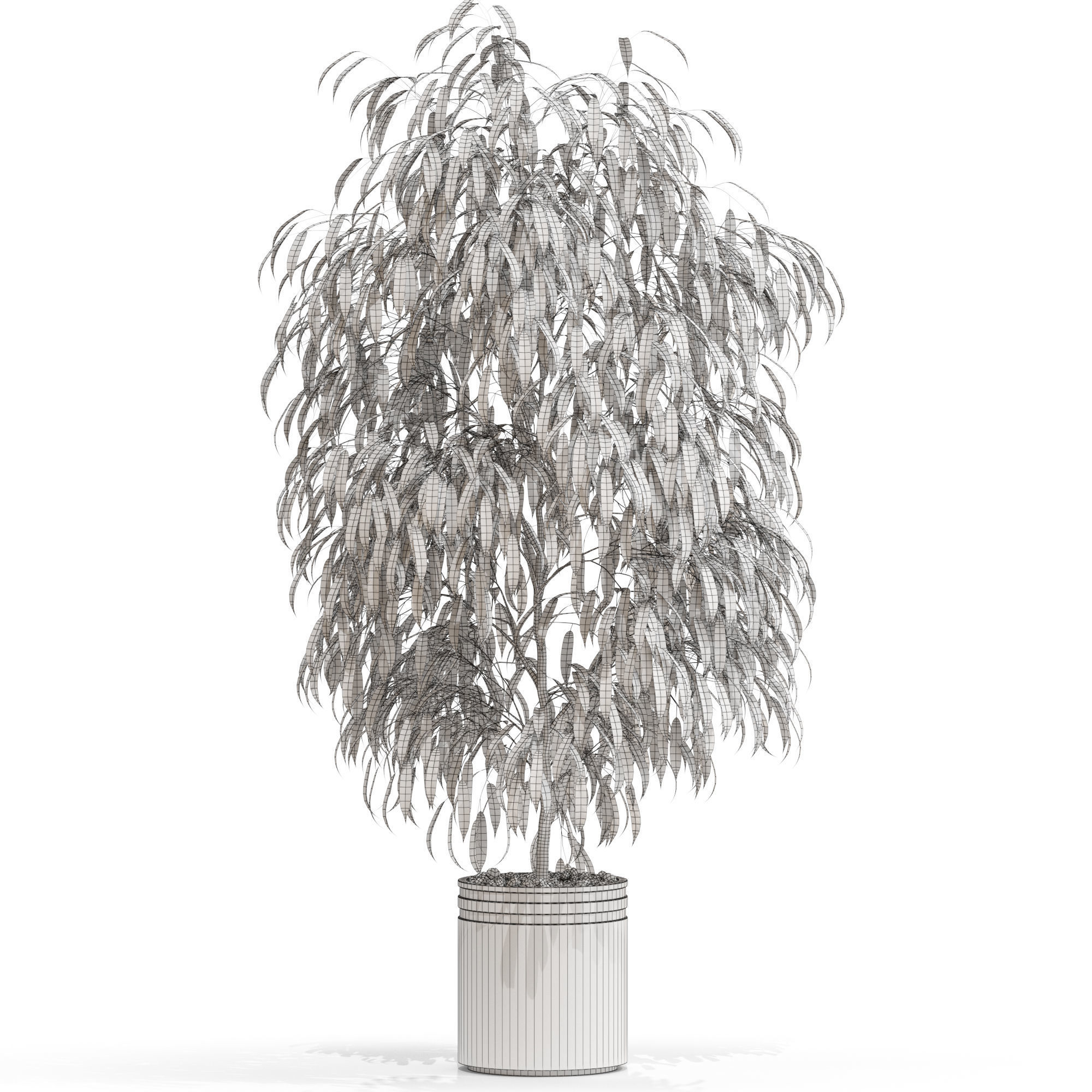 Plants collection 710 3D model_3