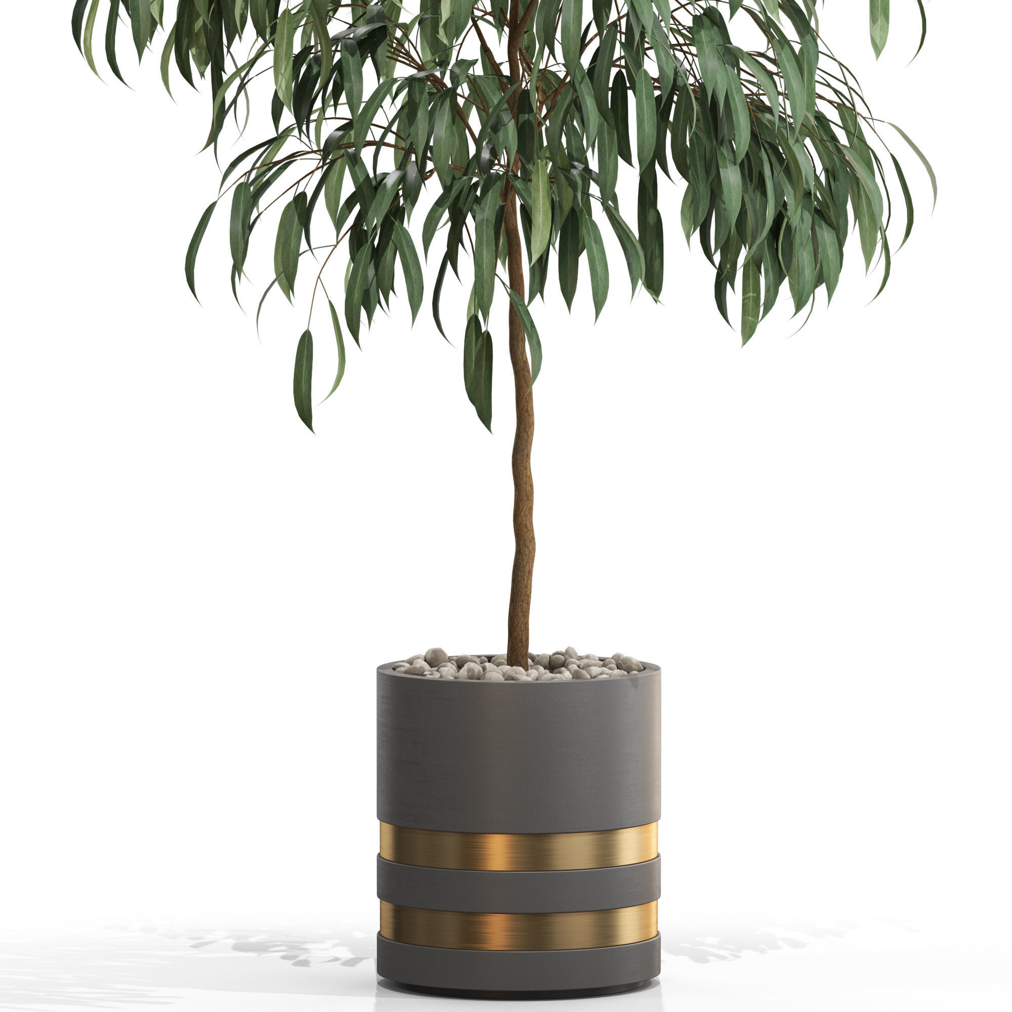 Plants collection 711 3D model_1