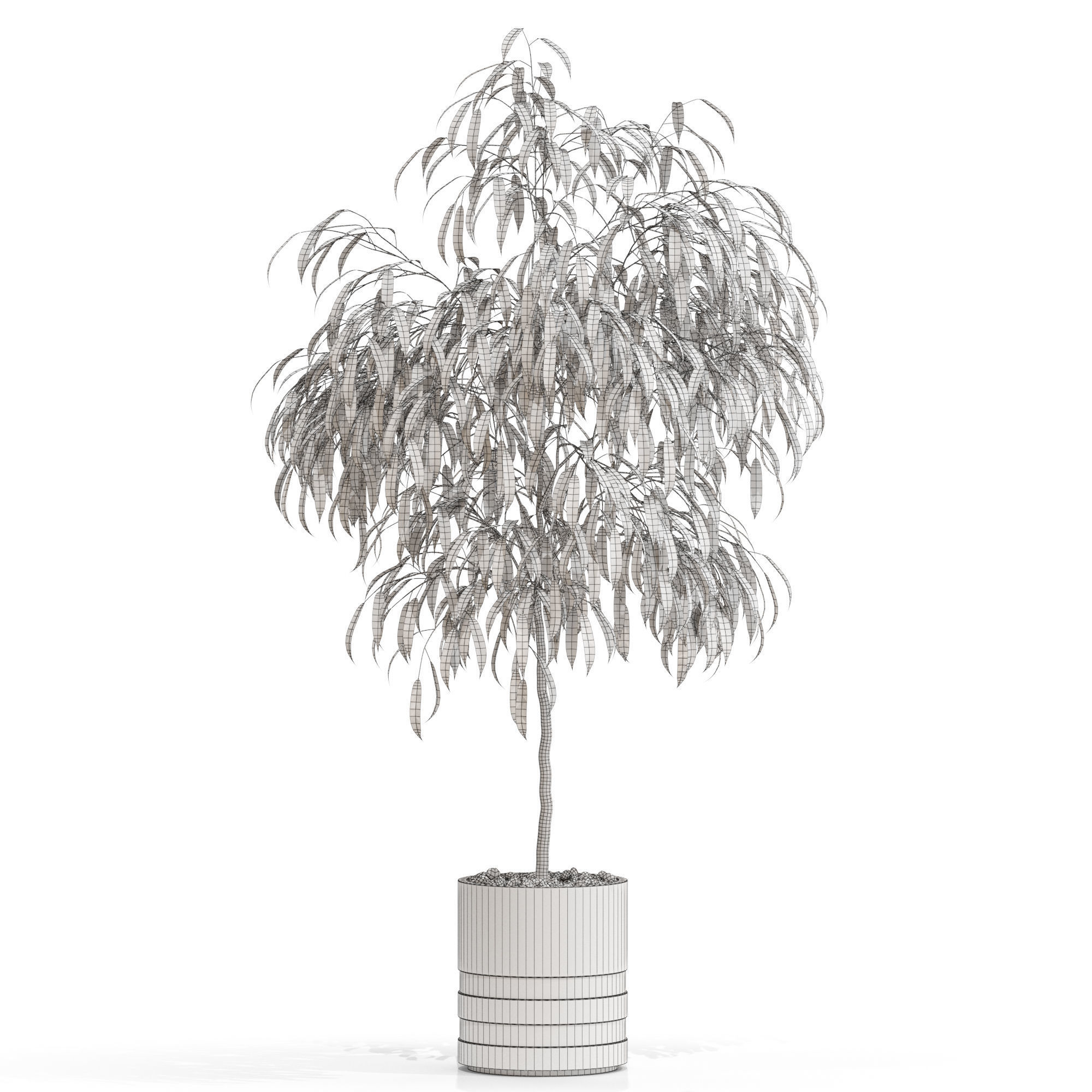 Plants collection 711 3D model_3