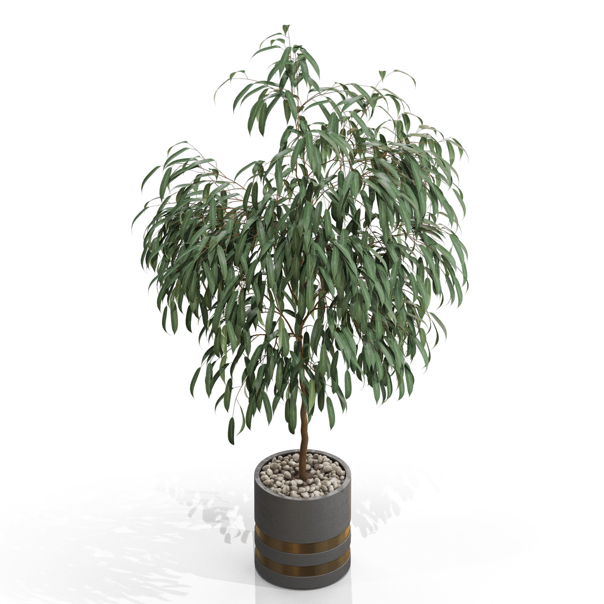 Plants collection 711 3D model_2