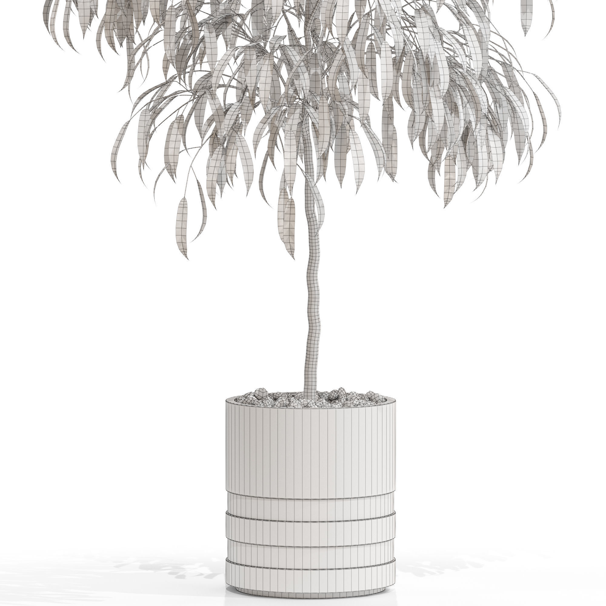 Plants collection 711 3D model_4