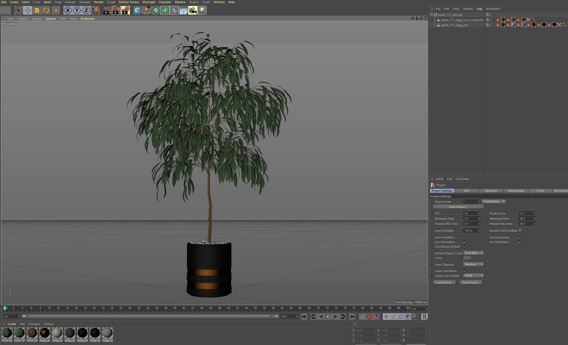 Plants collection 711 3D model_6