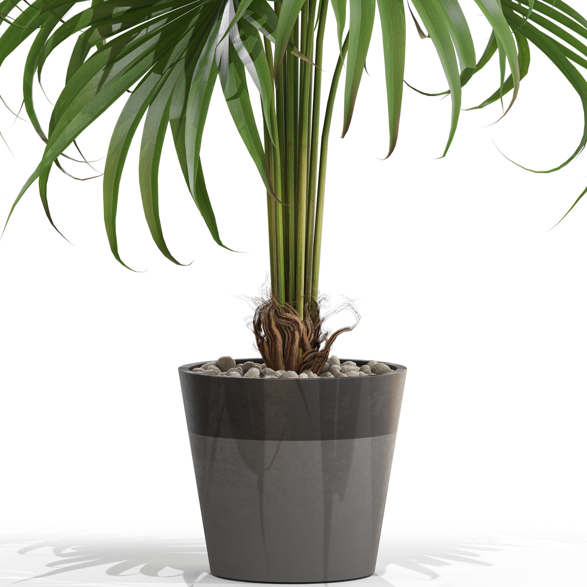 Plants collection 712 3D model_1