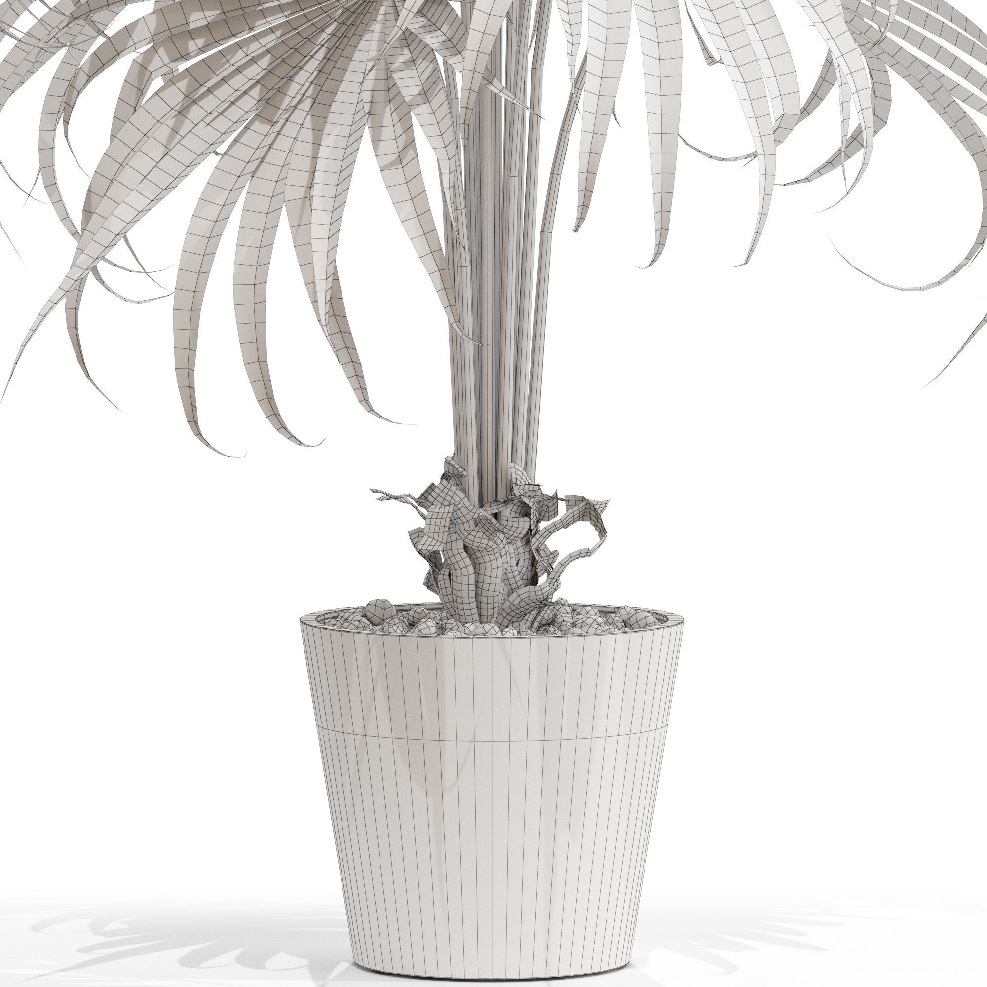 Plants collection 712 3D model_4