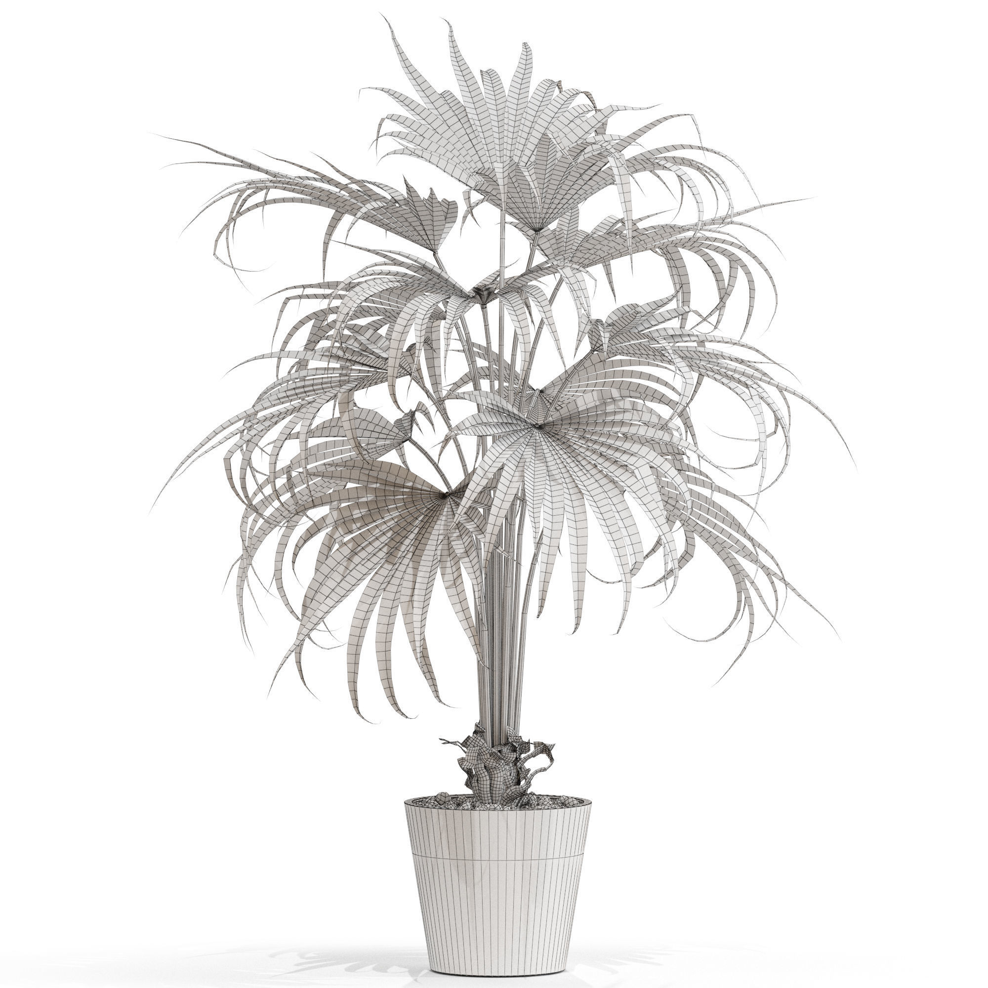 Plants collection 712 3D model_3
