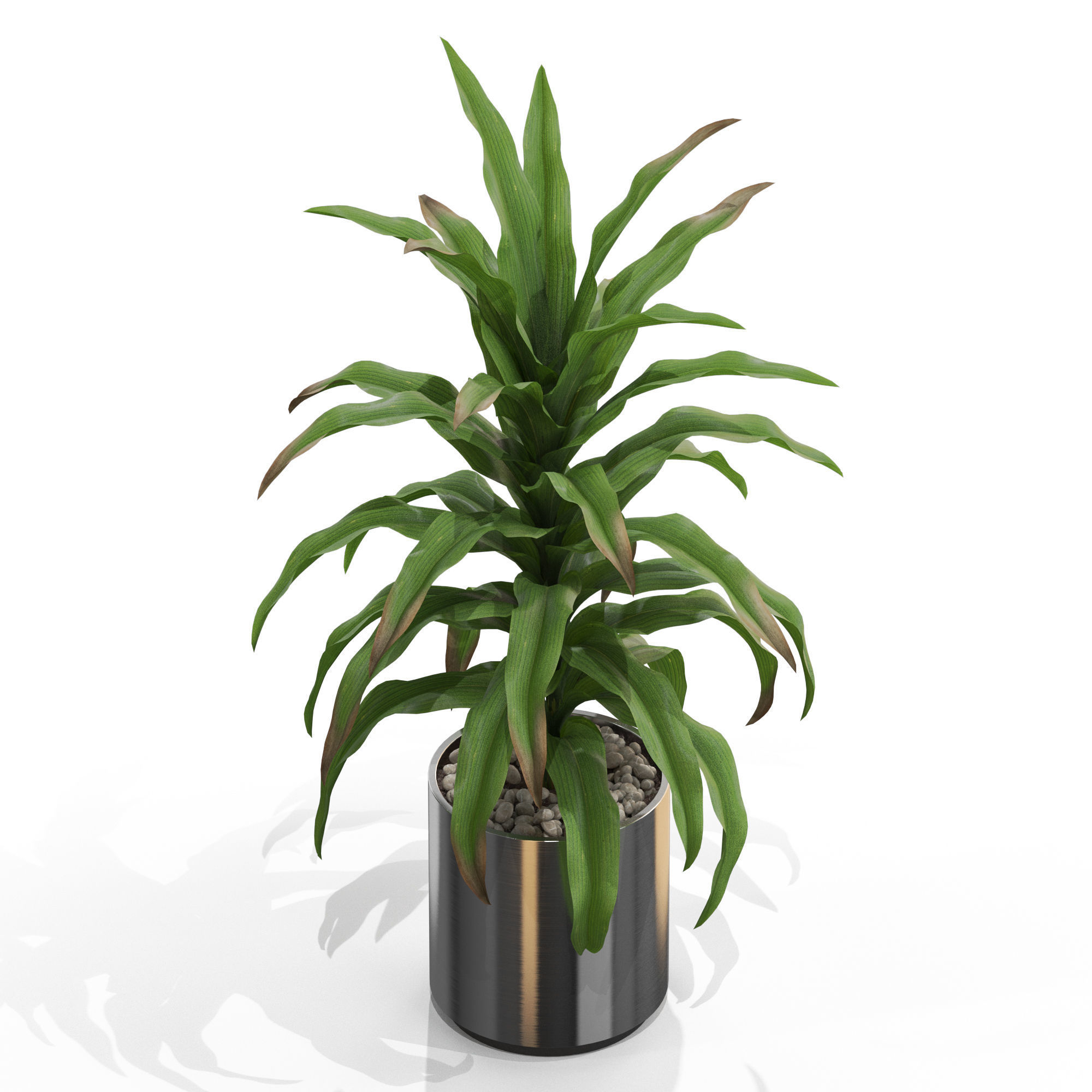 Plants collection 713 3D model_2