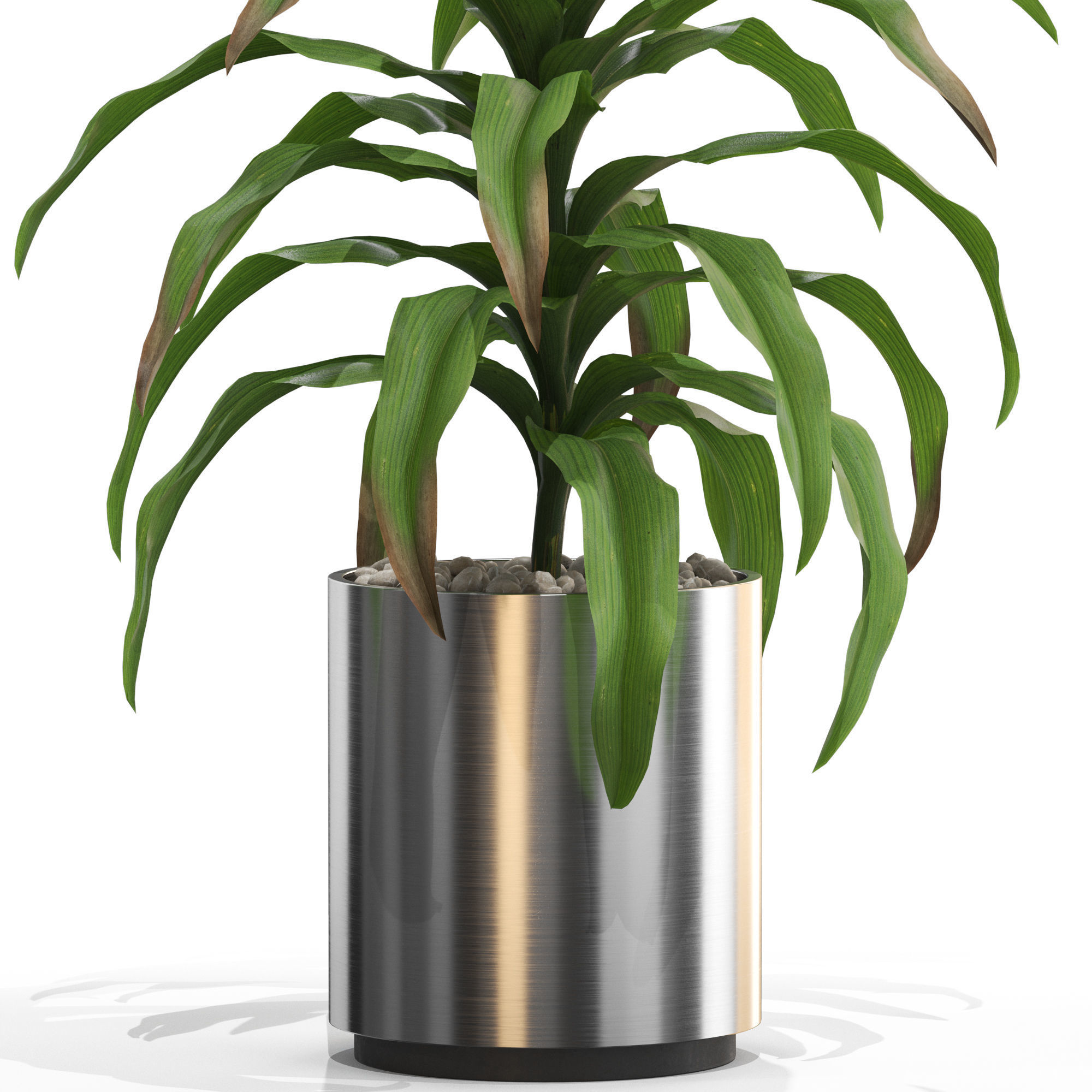 Plants collection 713 3D model_1