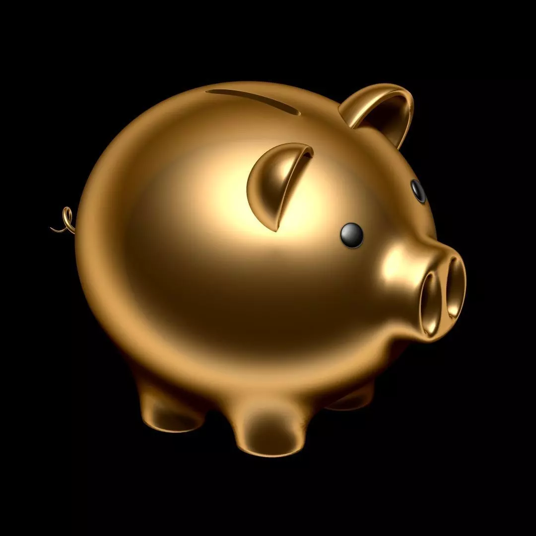 Pig Money Box 3D model_0
