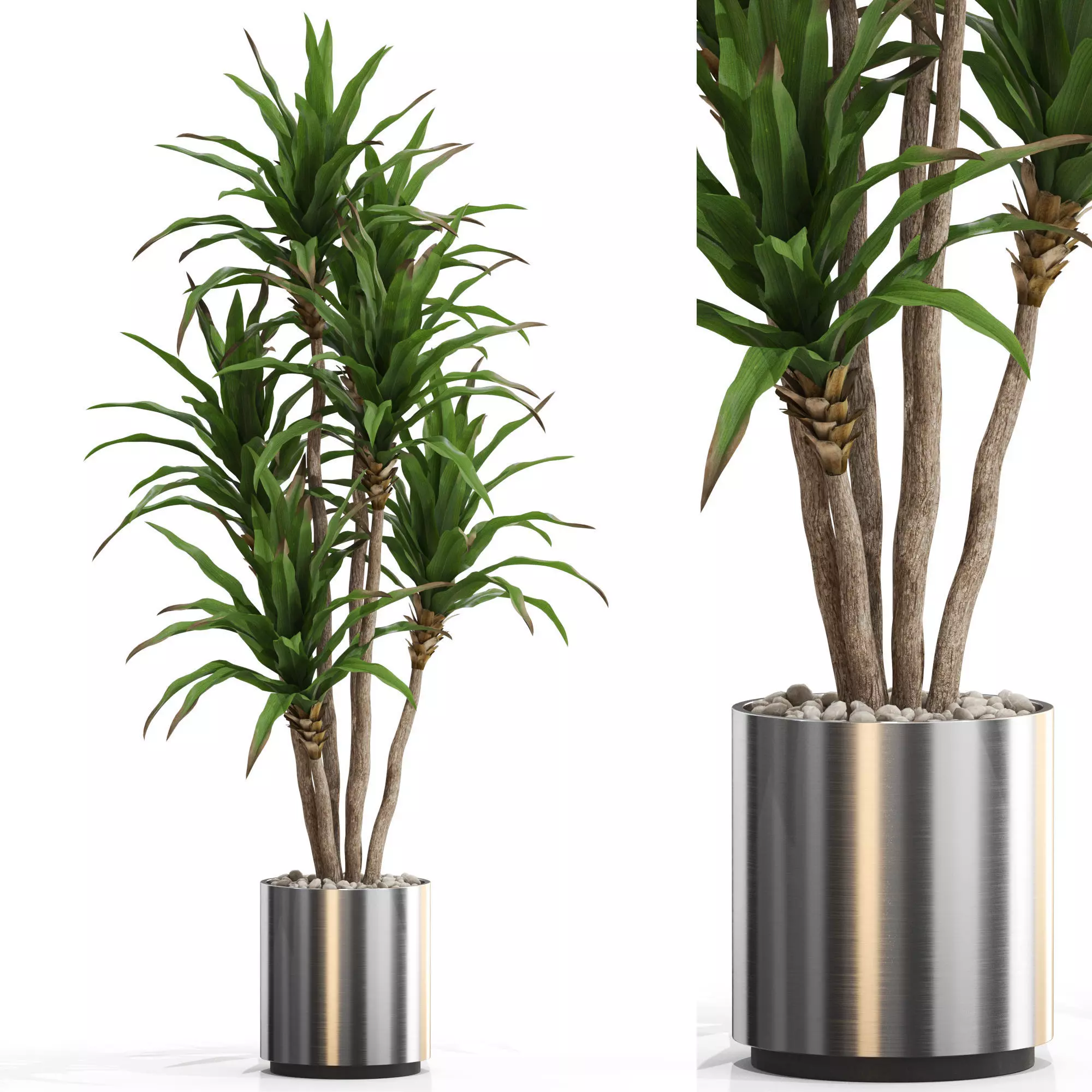 Plants collection 714 3D model_0
