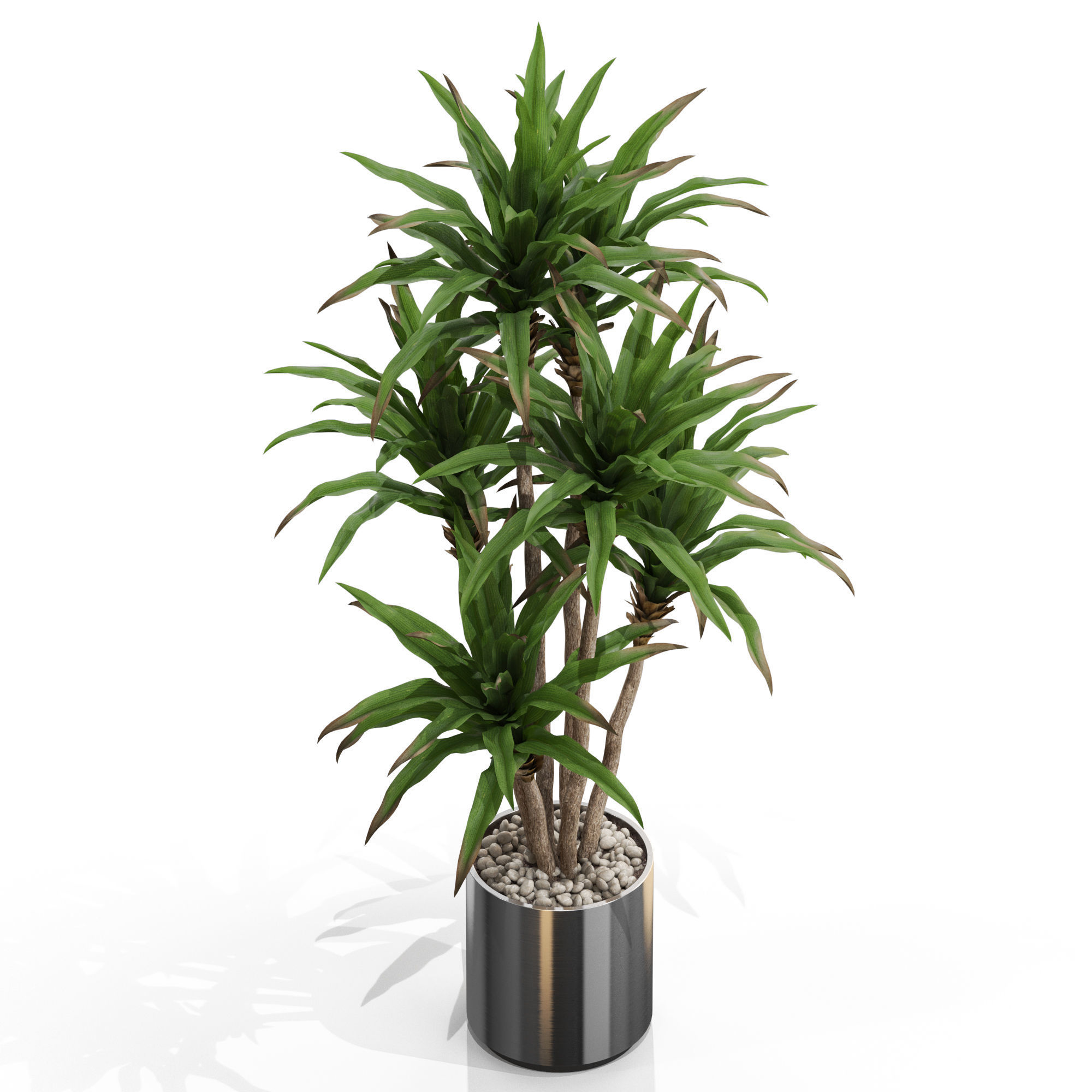 Plants collection 714 3D model_2