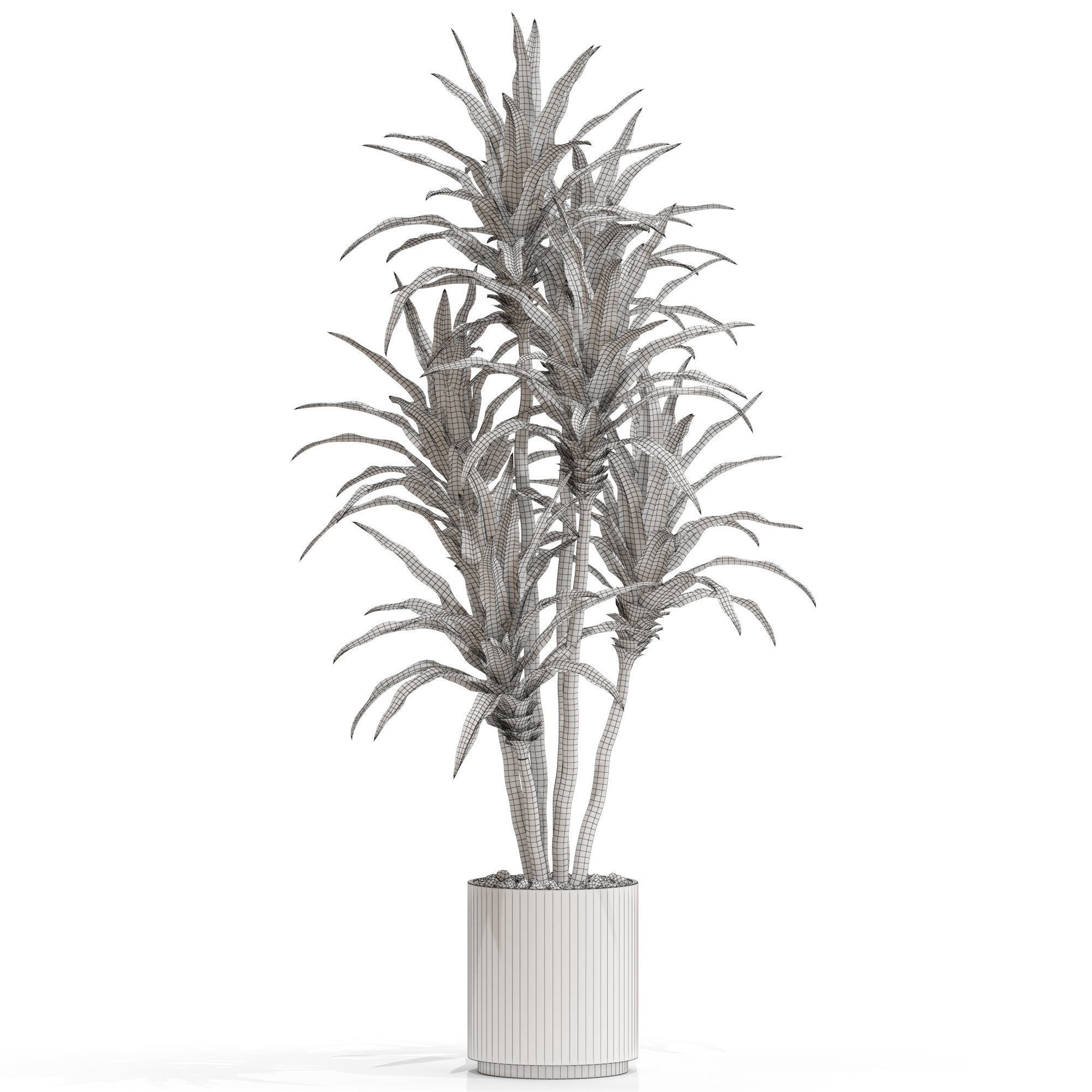 Plants collection 714 3D model_3