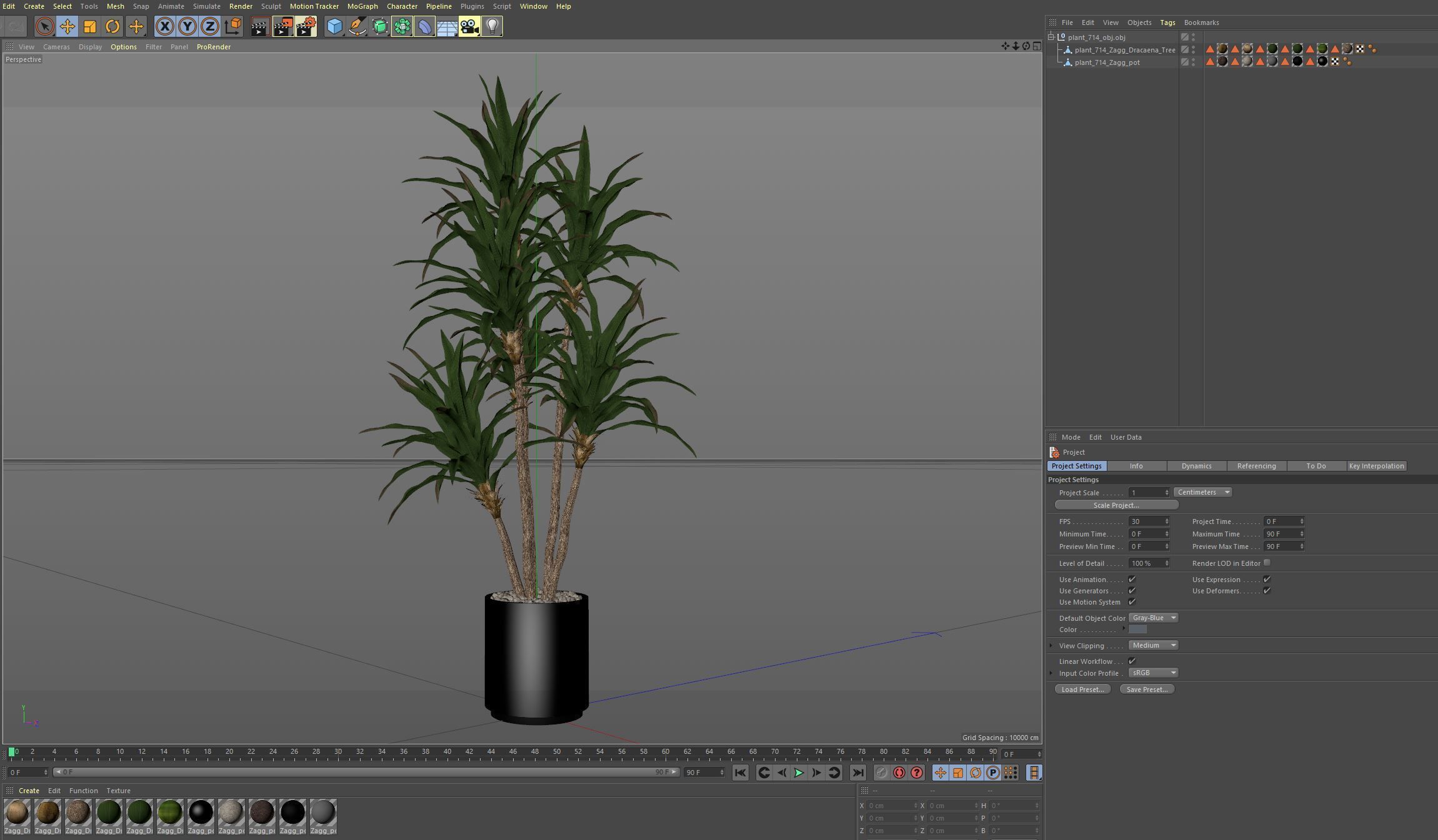 Plants collection 714 3D model_6