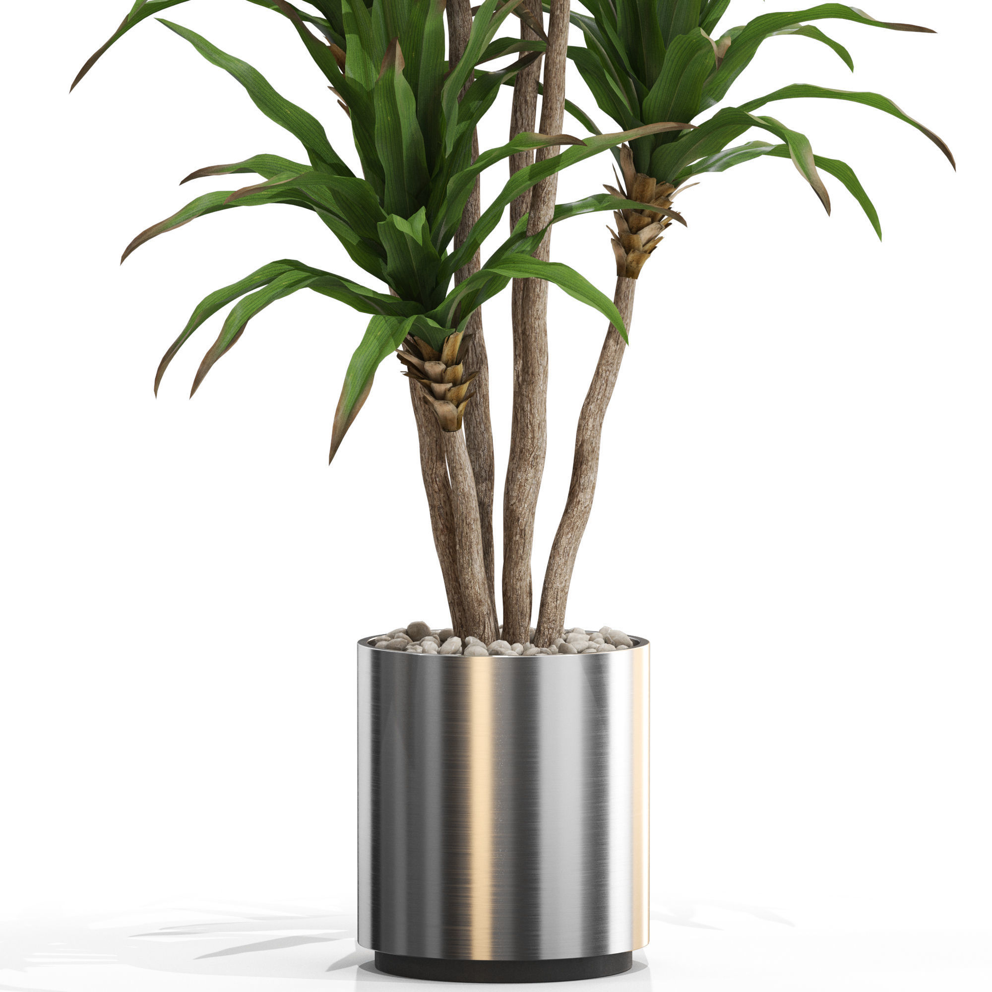 Plants collection 714 3D model_1
