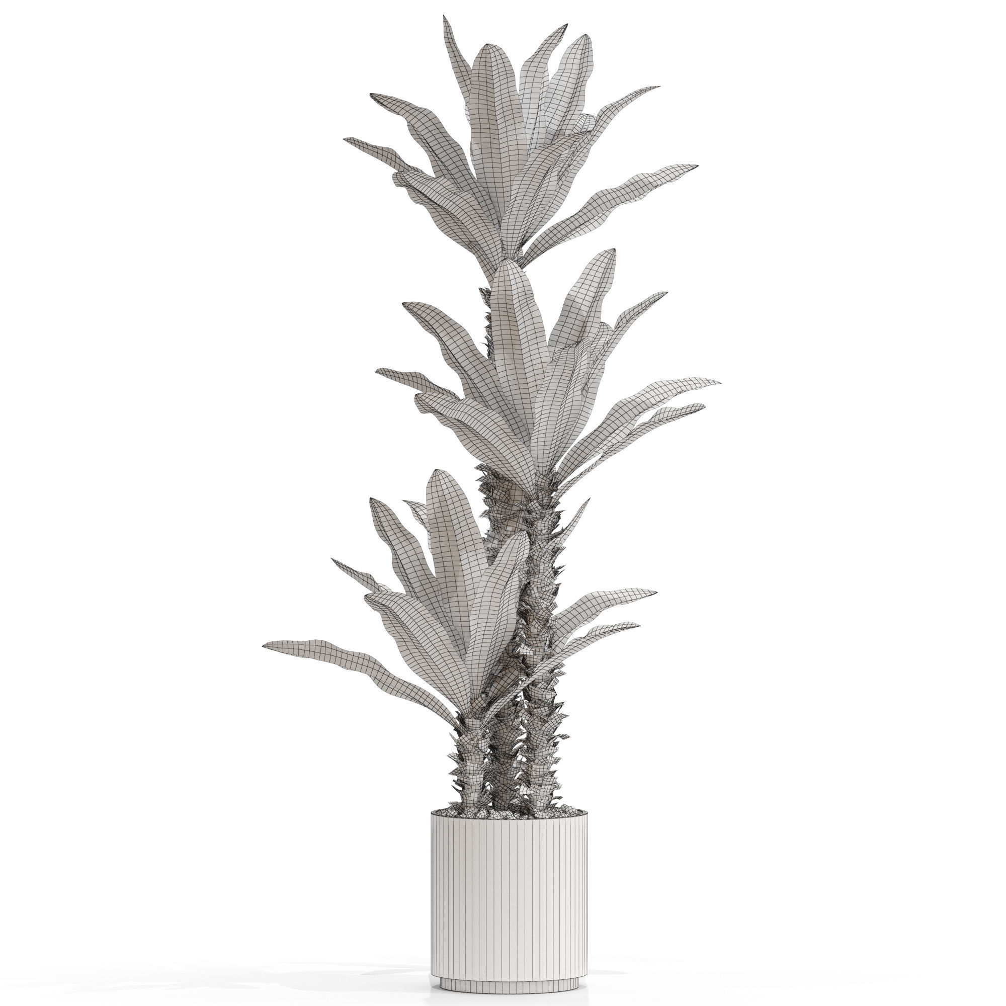 Plants collection 715 3D model_3