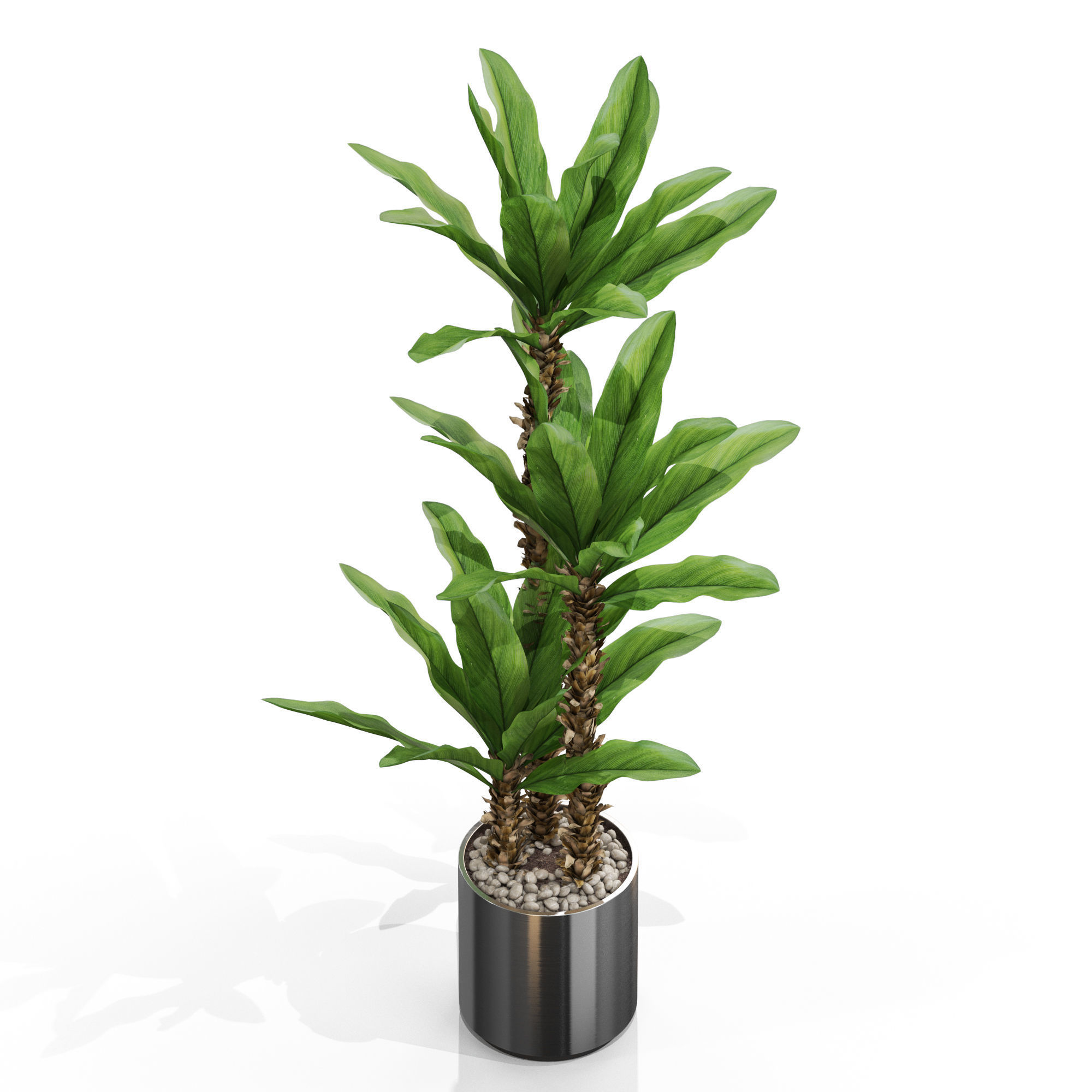 Plants collection 715 3D model_2