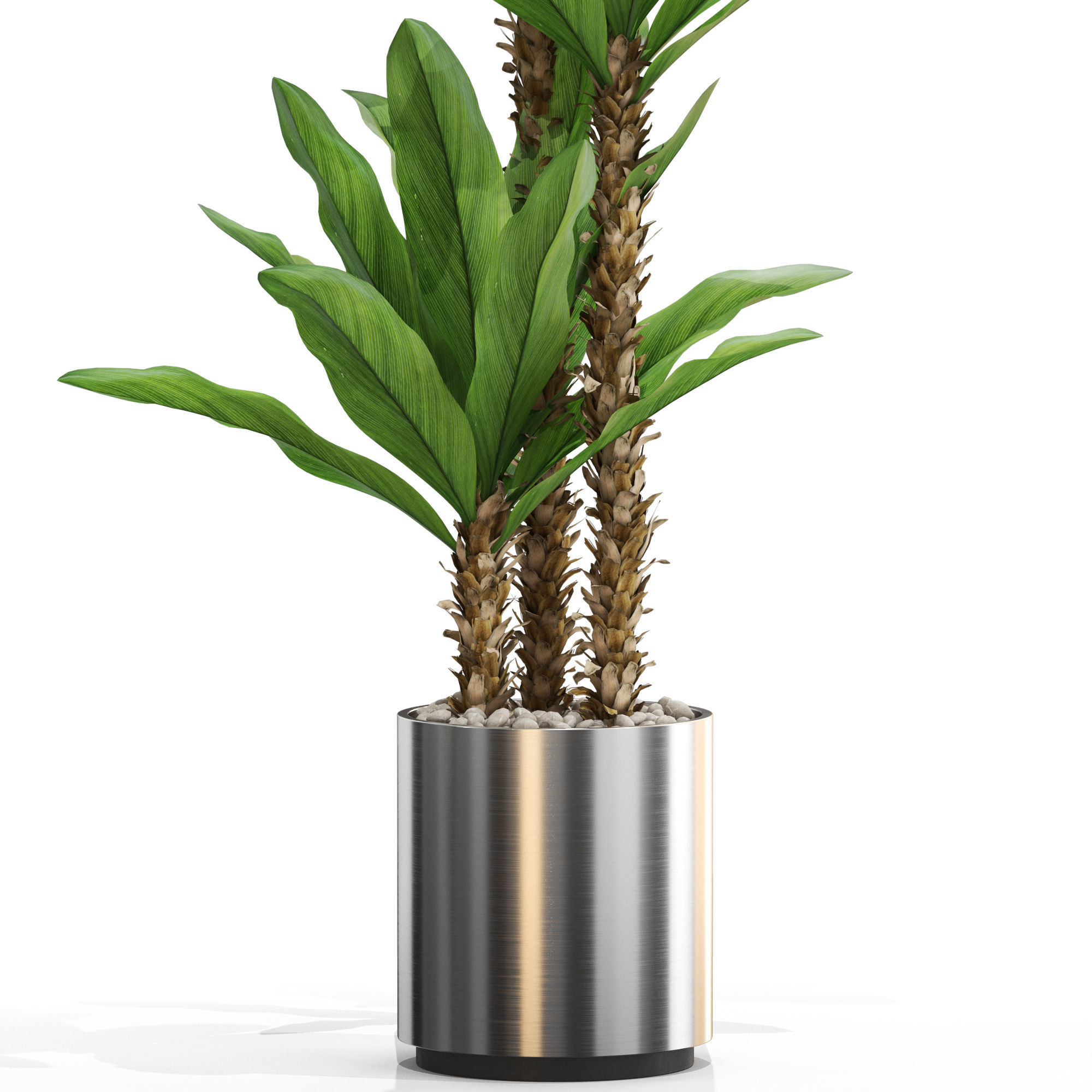 Plants collection 715 3D model_1