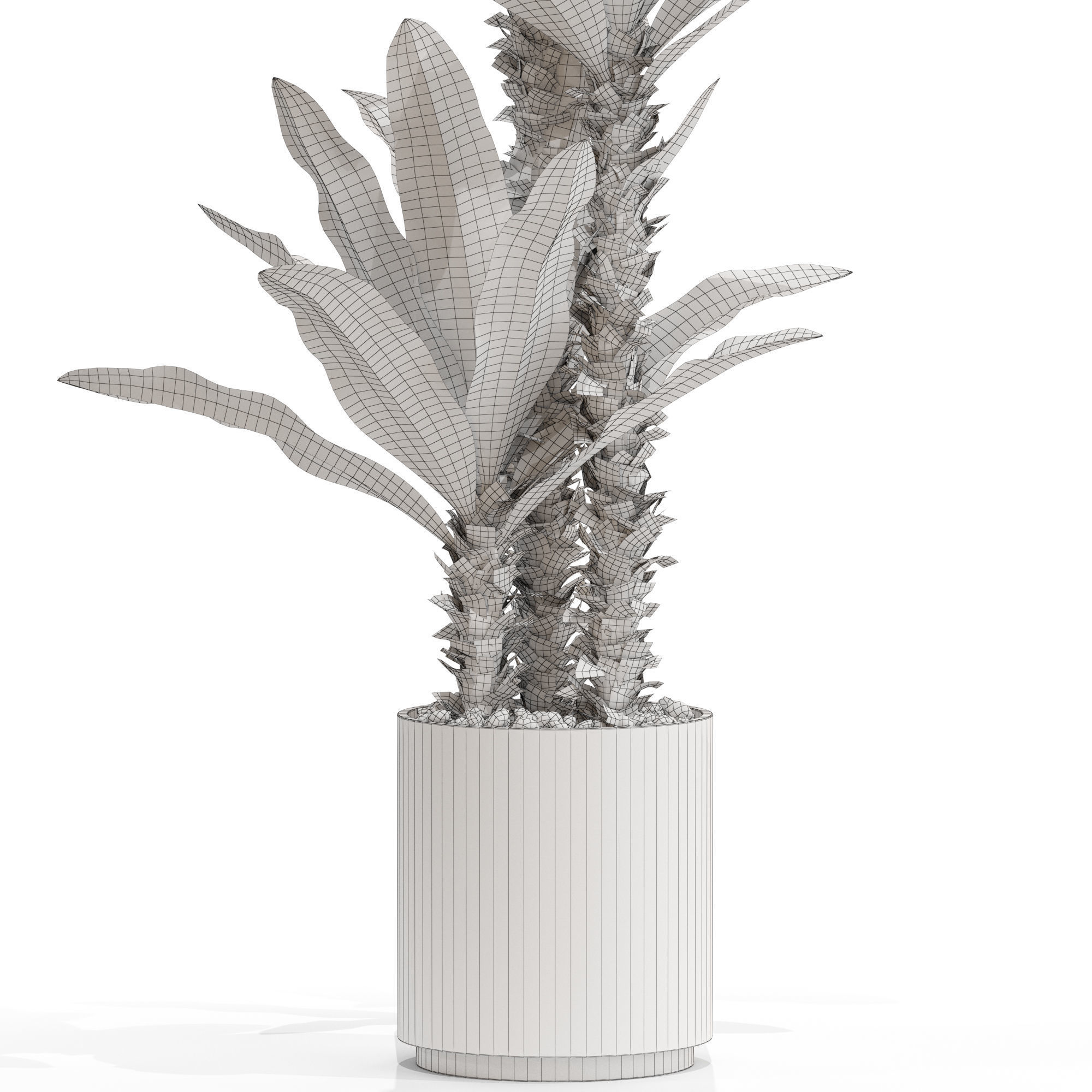 Plants collection 715 3D model_4
