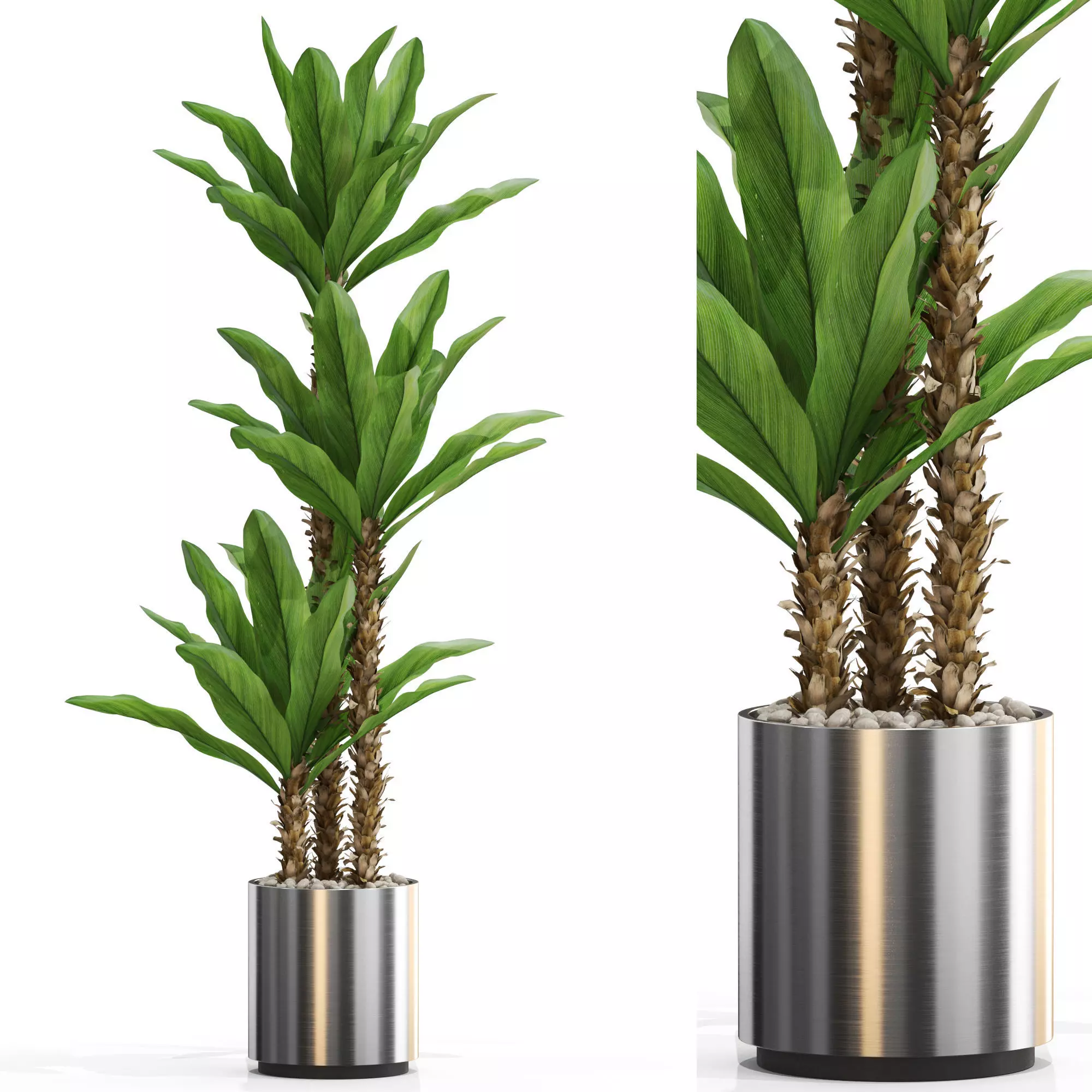 Plants collection 715 3D model_0