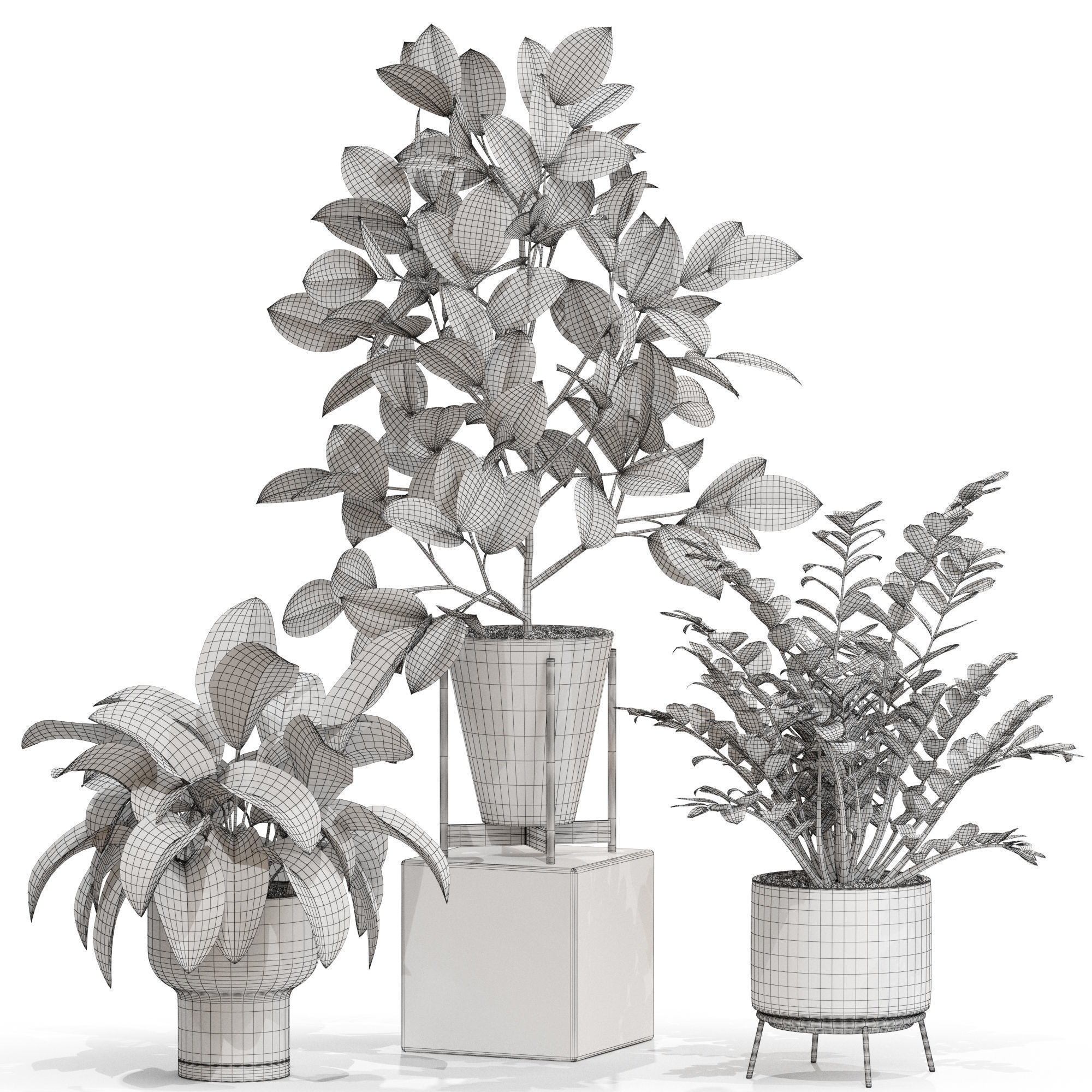 Plants collection 716 3D model_3