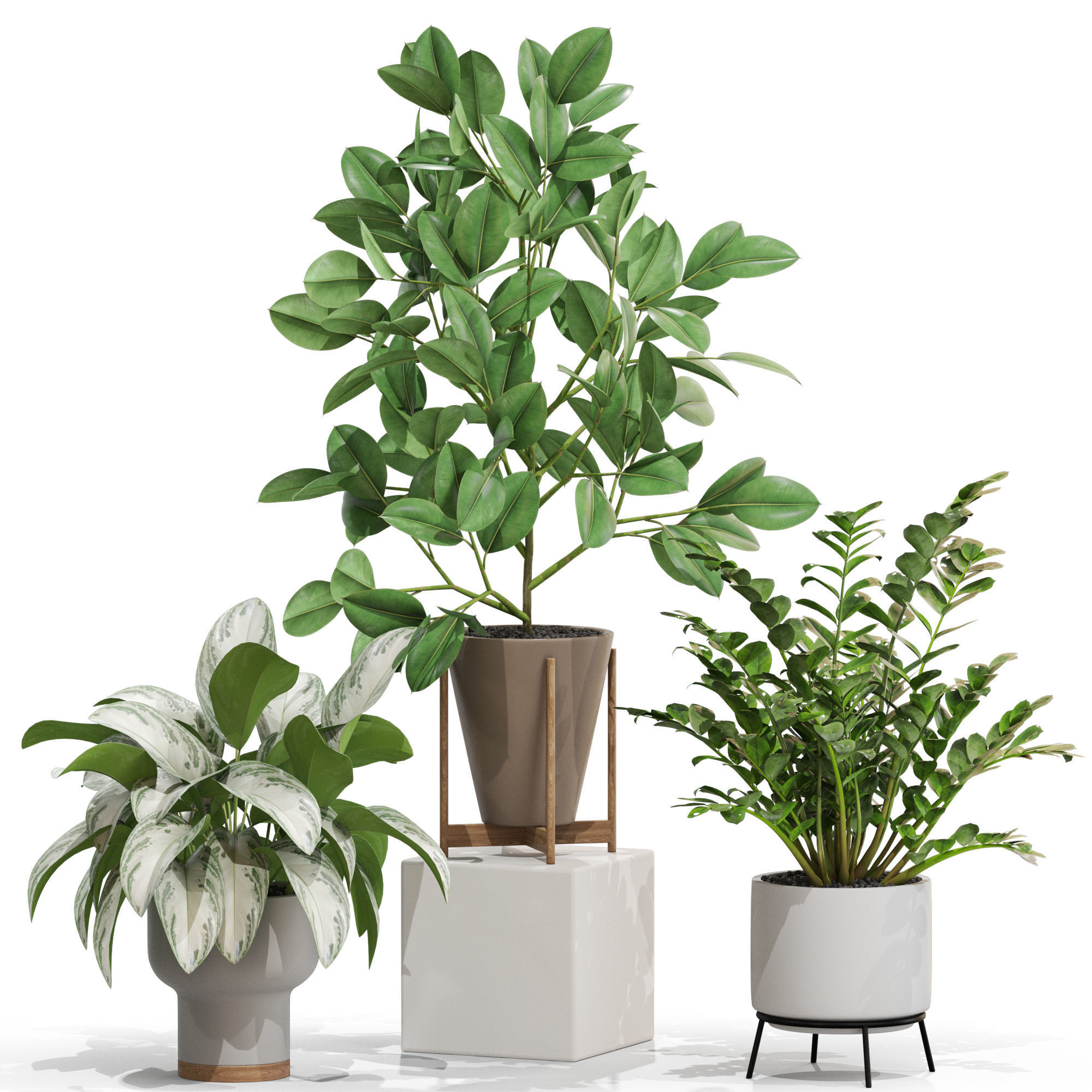 Plants collection 716 3D model_1