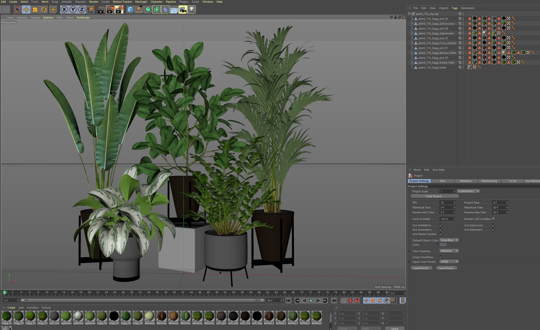 Plants collection 716 3D model_6
