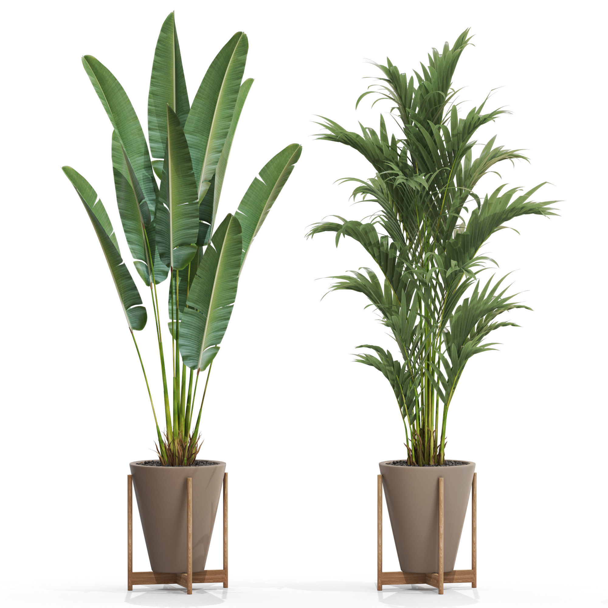 Plants collection 716 3D model_2