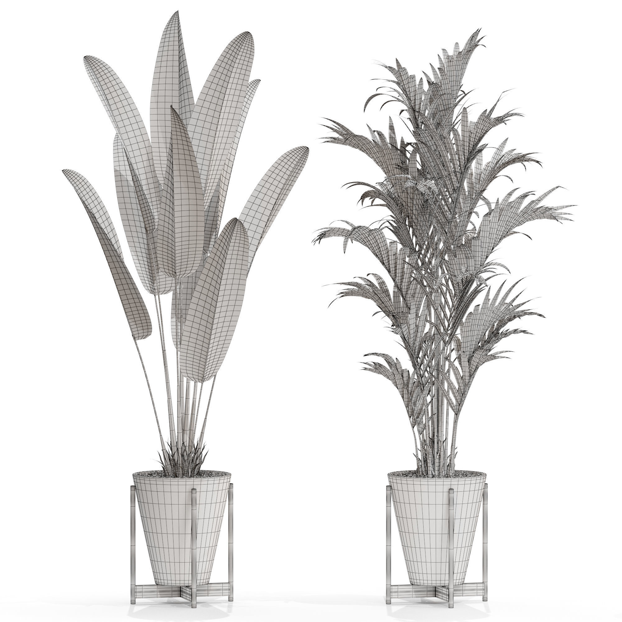 Plants collection 716 3D model_4