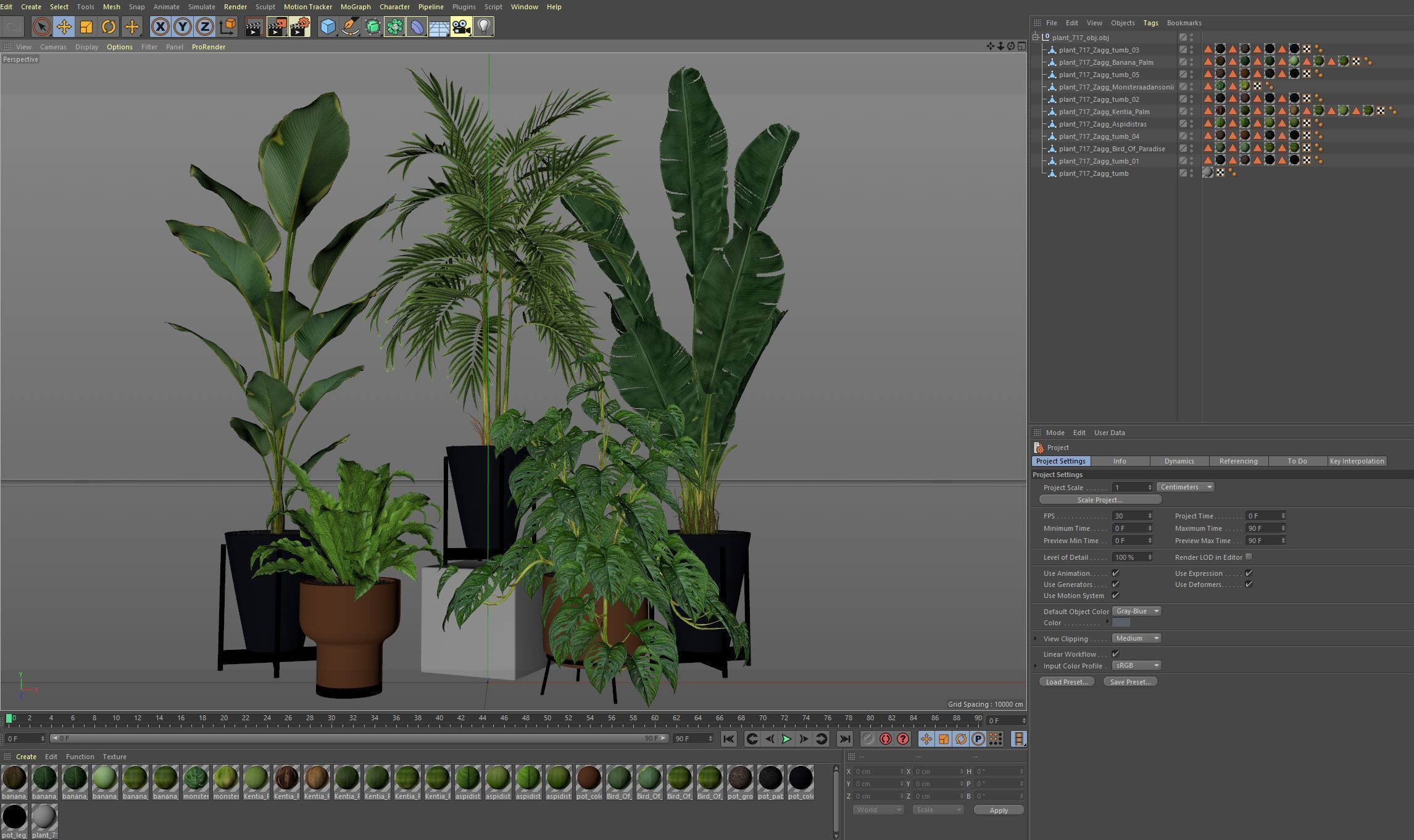 Plants collection 717 3D model_6